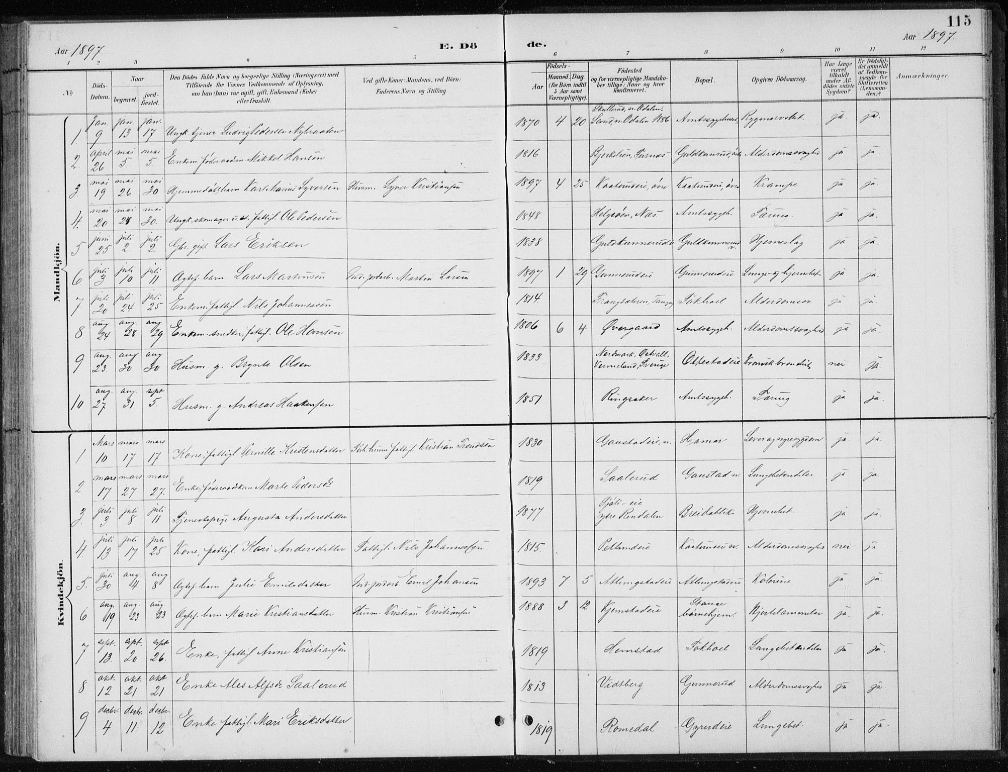 Stange prestekontor, AV/SAH-PREST-002/L/L0010: Parish register (copy) no. 10, 1894-1905, p. 115