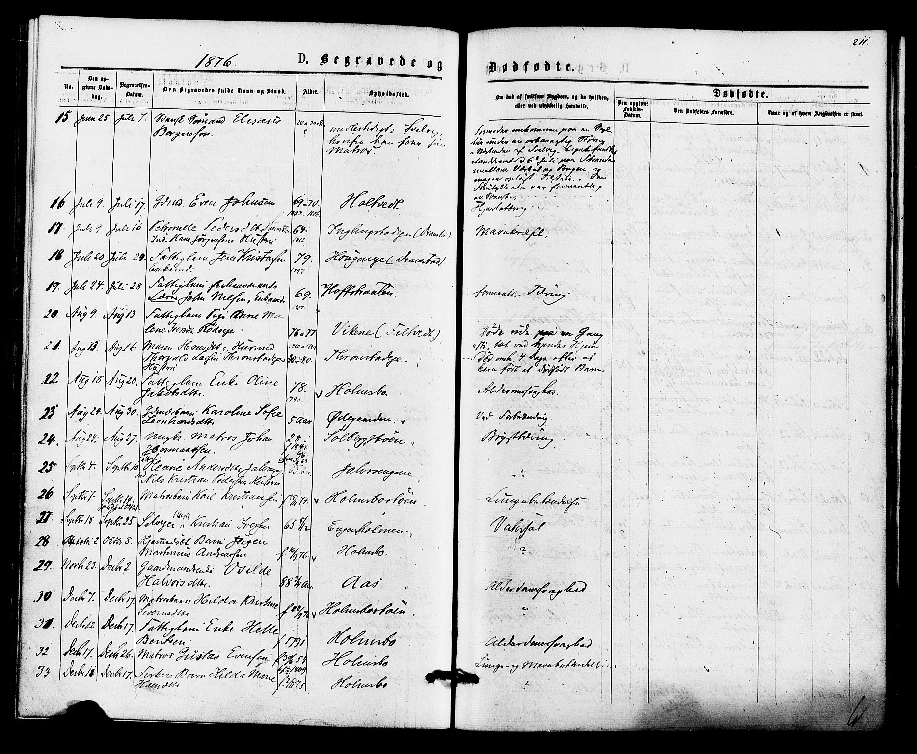 Hurum kirkebøker, AV/SAKO-A-229/F/Fa/L0013: Parish register (official) no. 13, 1876-1881, p. 211