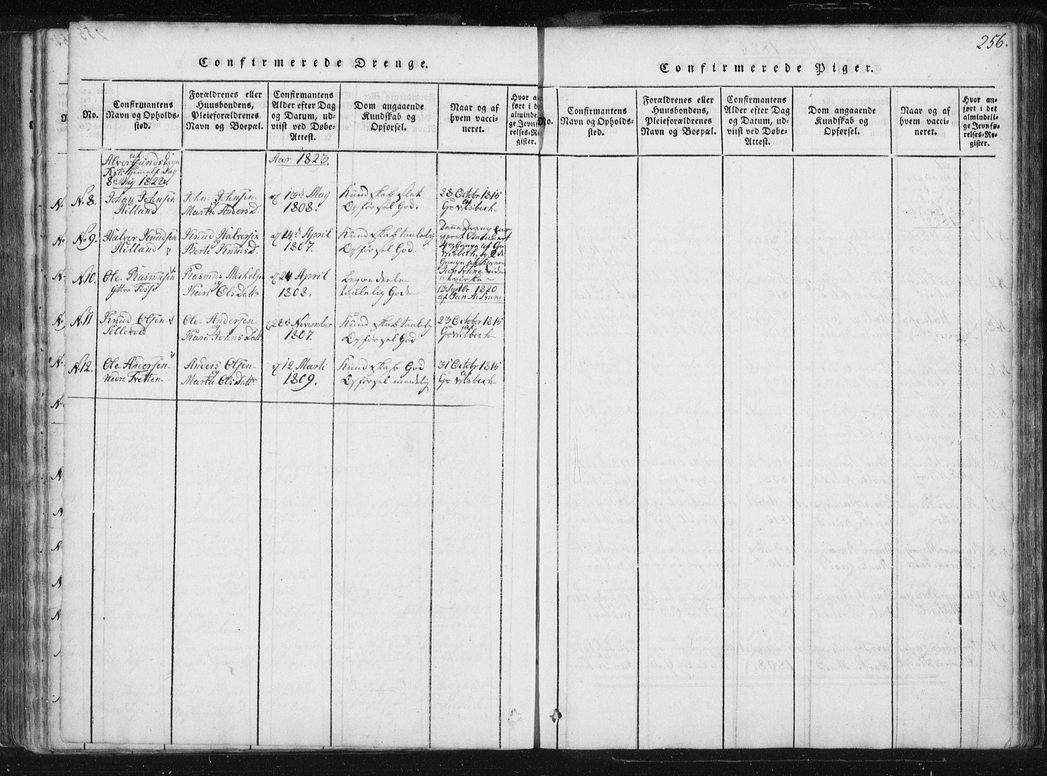 Hamre sokneprestembete, AV/SAB-A-75501/H/Ha/Haa/Haaa/L0010: Parish register (official) no. A 10, 1816-1826, p. 256