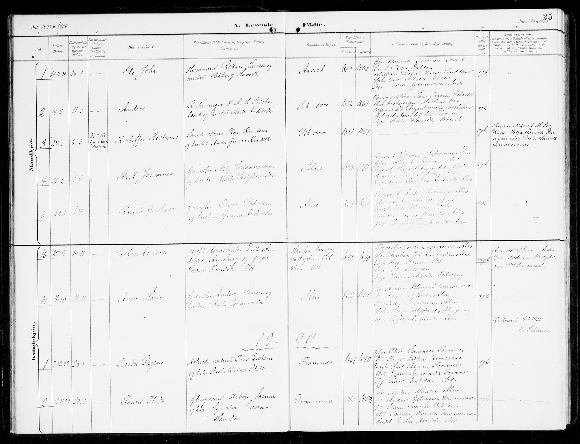 Sveio Sokneprestembete, SAB/A-78501/H/Haa: Parish register (official) no. D 2, 1894-1916, p. 25