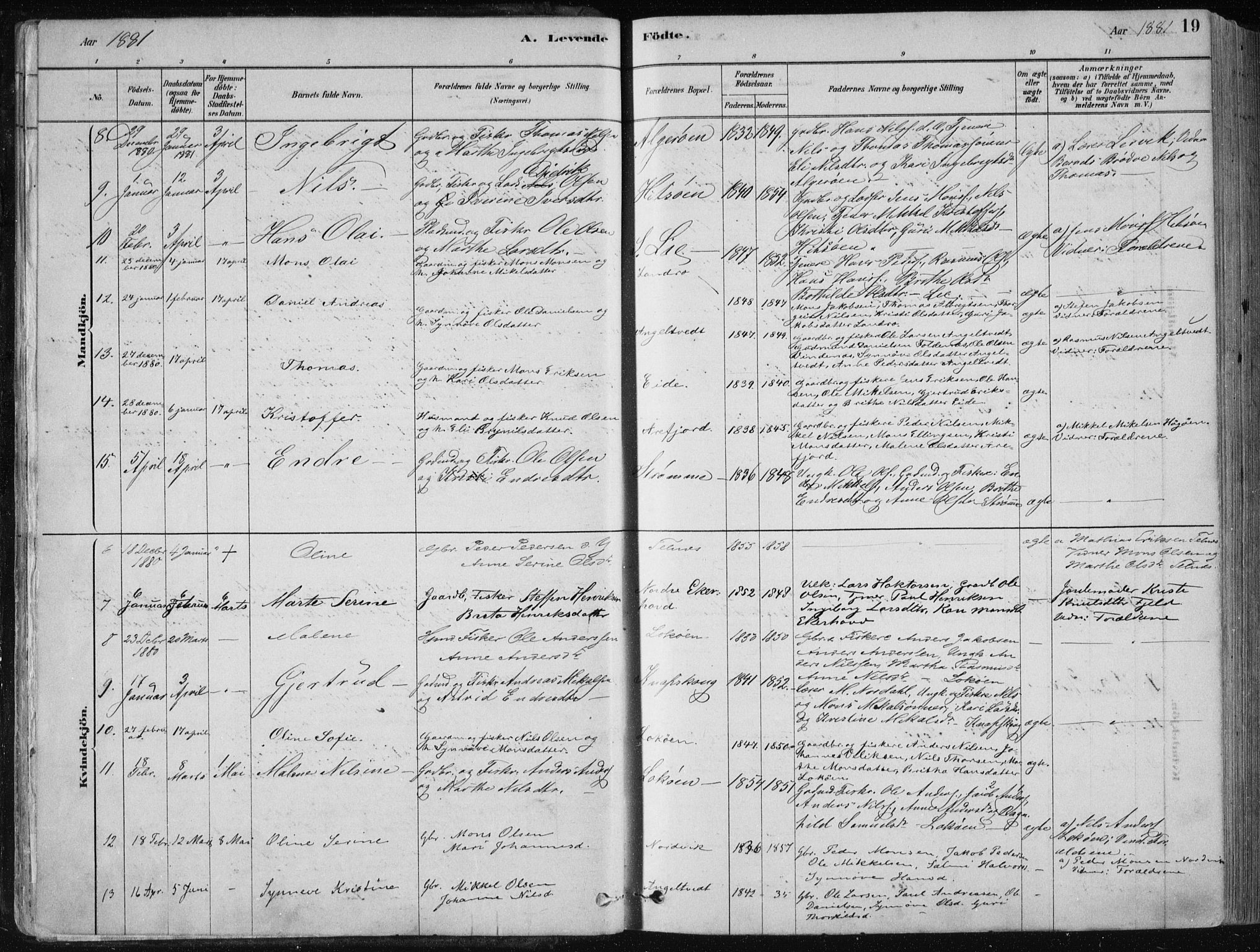 Fjell sokneprestembete, SAB/A-75301/H/Haa: Parish register (official) no. A  8, 1878-1898, p. 19