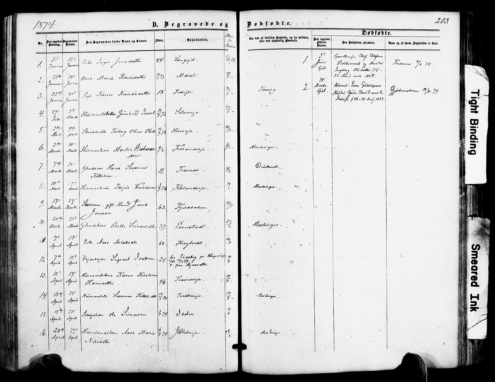 Froland sokneprestkontor, AV/SAK-1111-0013/F/Fa/L0003: Parish register (official) no. A 3, 1864-1881, p. 203