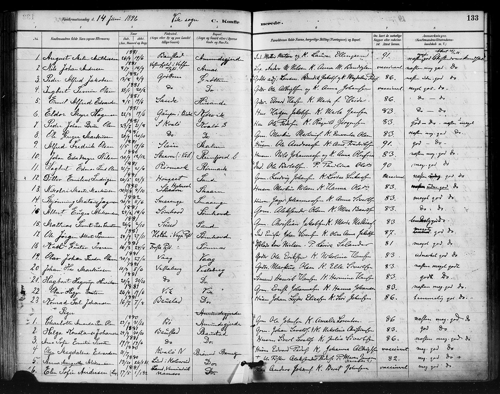 Ministerialprotokoller, klokkerbøker og fødselsregistre - Nordland, SAT/A-1459/812/L0178: Parish register (official) no. 812A07, 1886-1900, p. 133