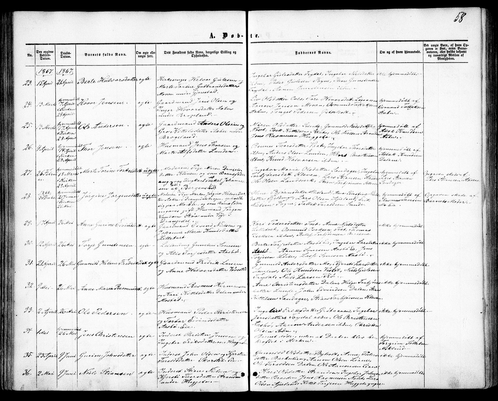 Gjerstad sokneprestkontor, SAK/1111-0014/F/Fa/Faa/L0007: Parish register (official) no. A 7, 1858-1875, p. 58