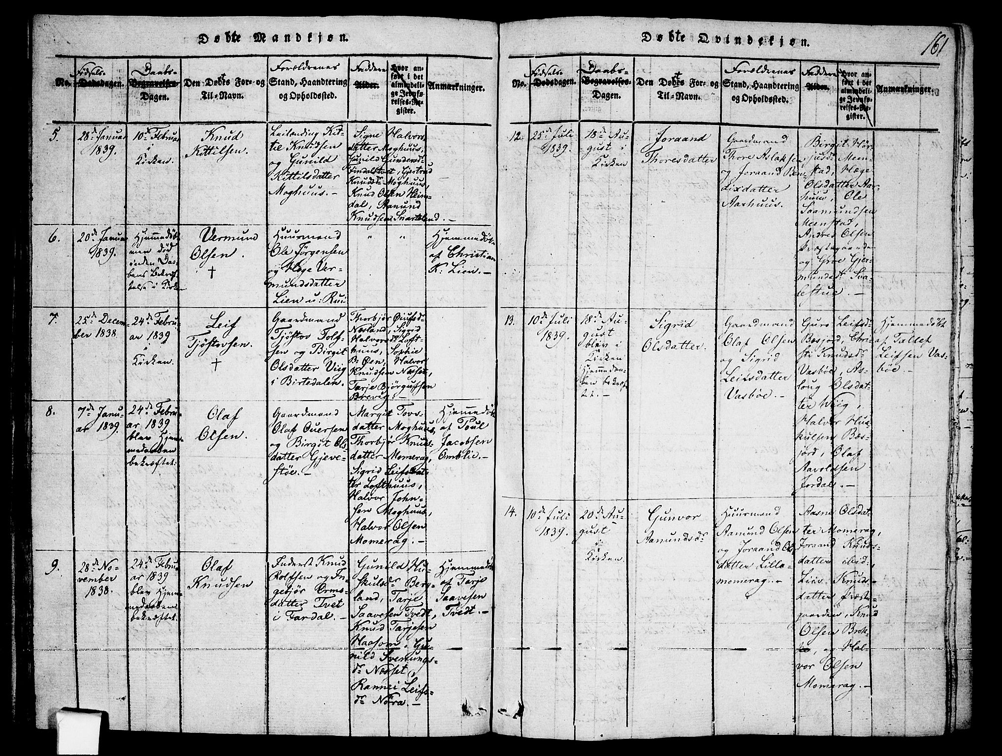 Fyresdal kirkebøker, AV/SAKO-A-263/F/Fa/L0003: Parish register (official) no. I 3, 1815-1840, p. 161