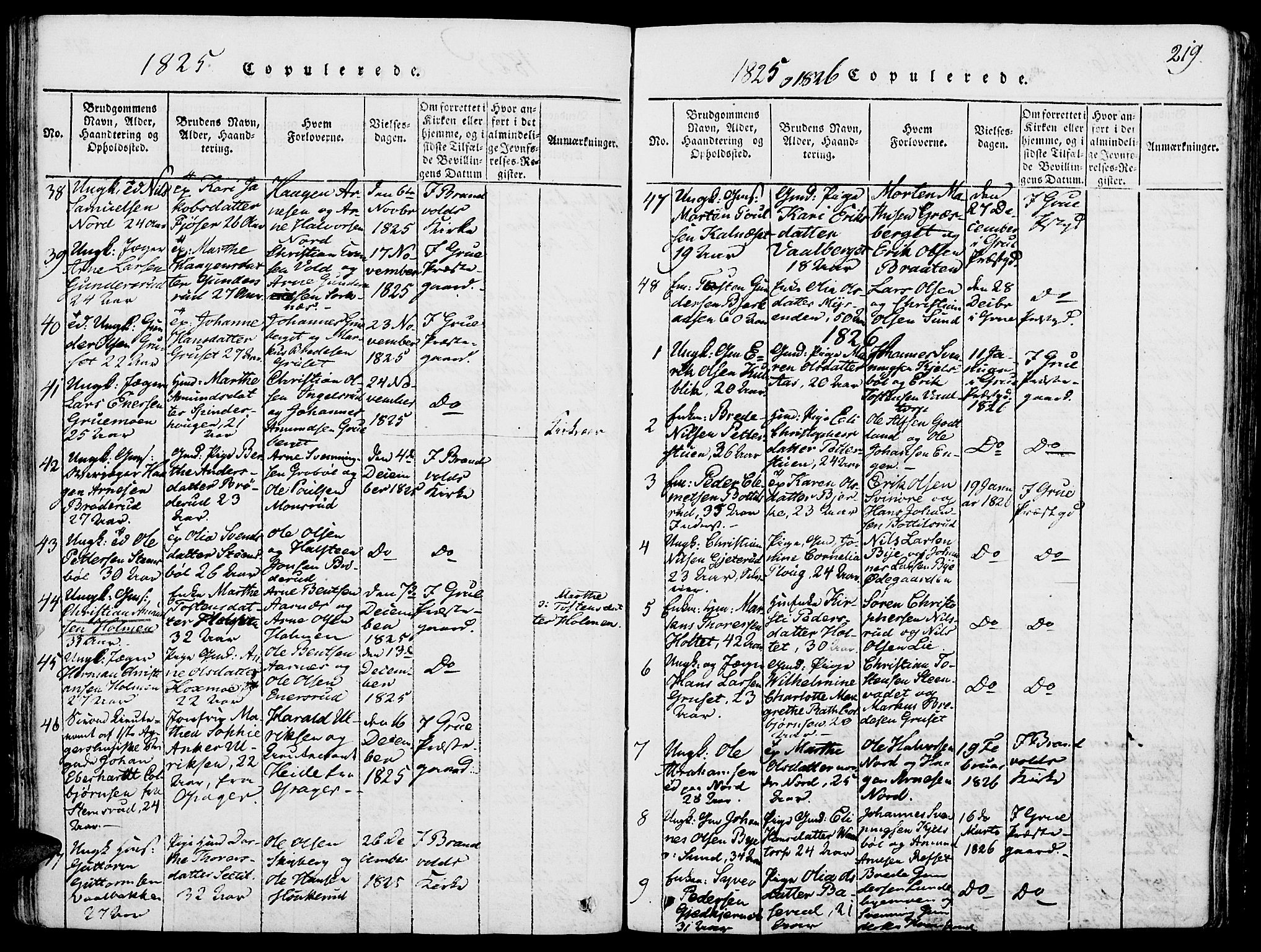 Grue prestekontor, AV/SAH-PREST-036/H/Ha/Haa/L0006: Parish register (official) no. 6, 1814-1830, p. 219