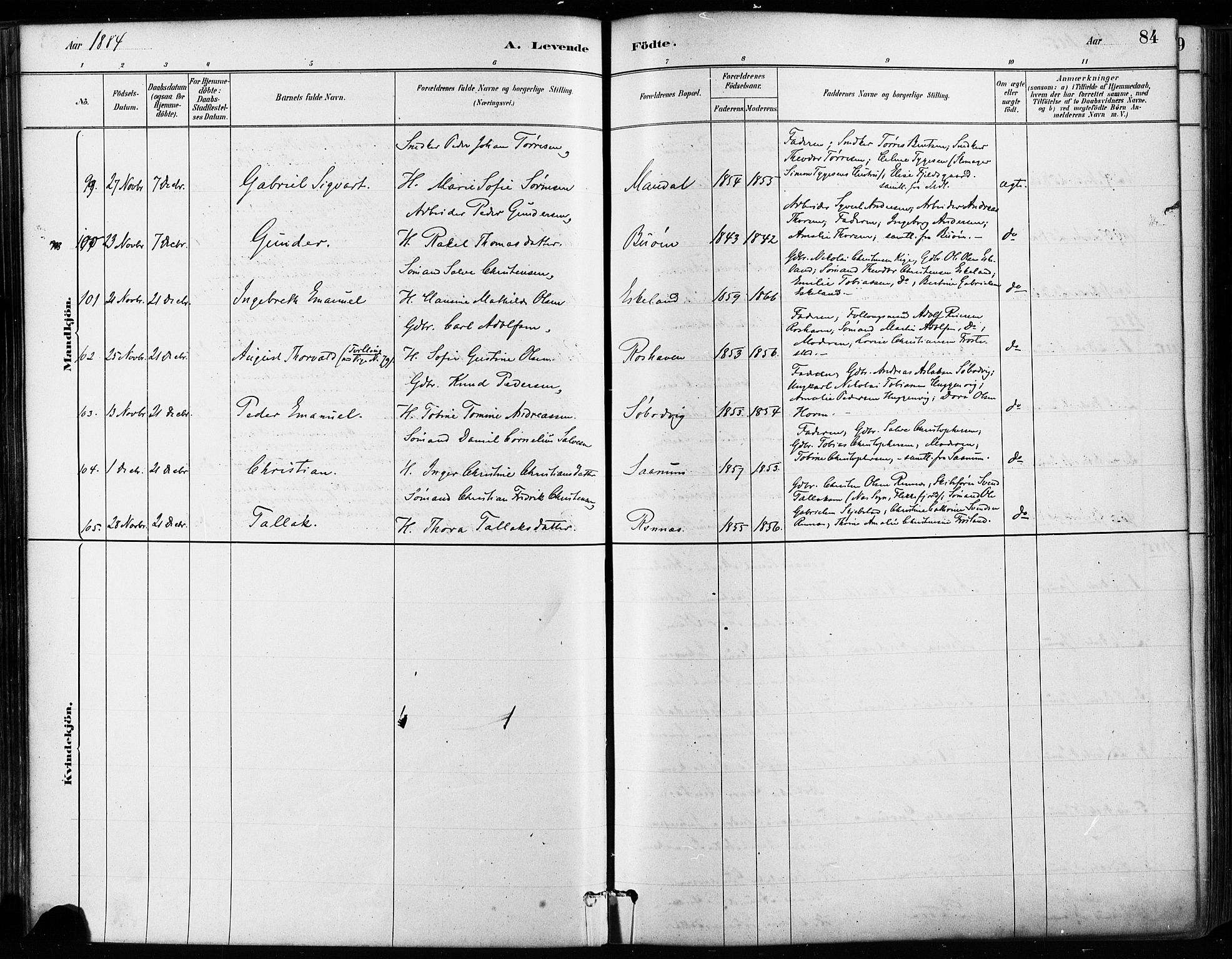 Mandal sokneprestkontor, SAK/1111-0030/F/Fa/Faa/L0016: Parish register (official) no. A 16, 1880-1890, p. 84