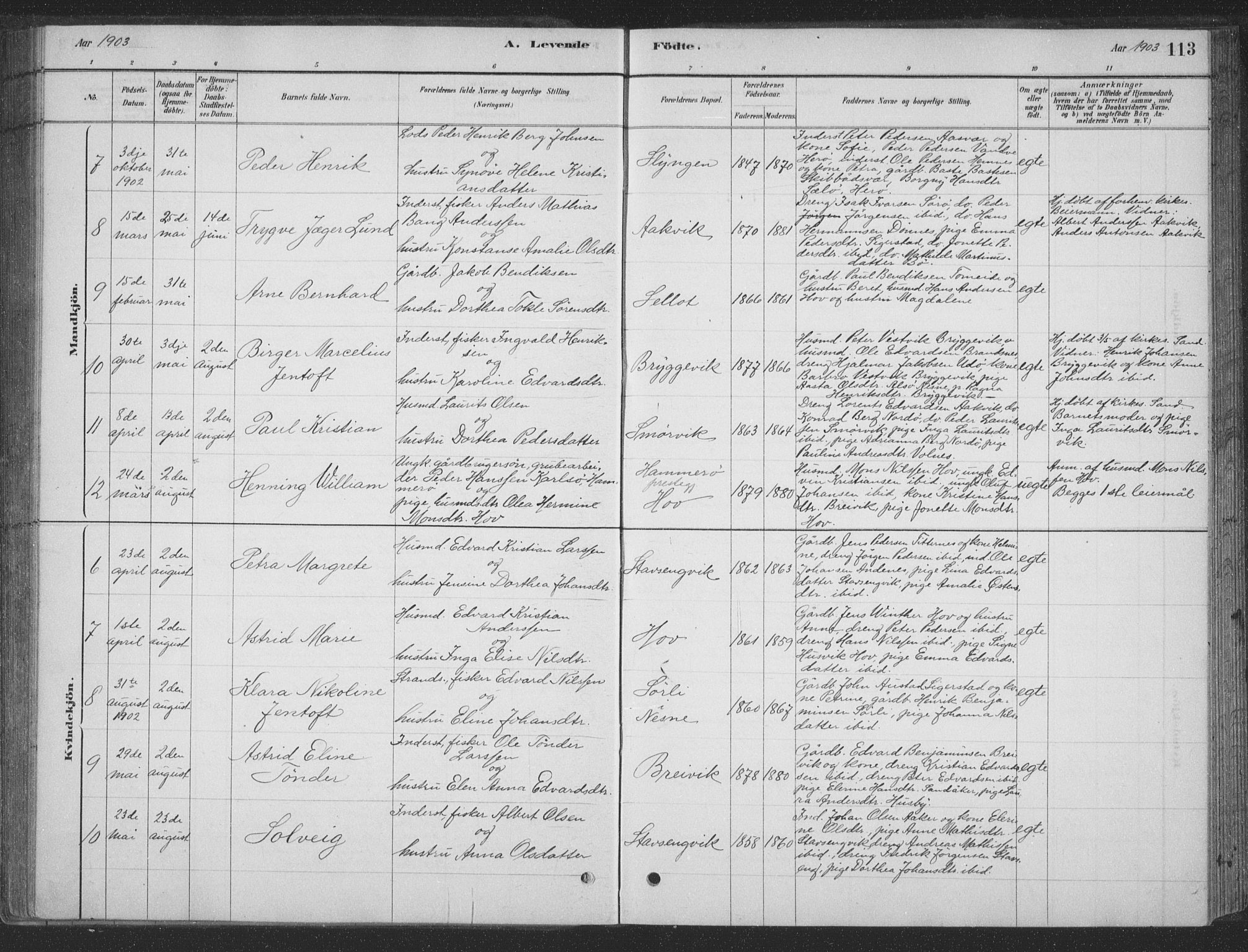 Ministerialprotokoller, klokkerbøker og fødselsregistre - Nordland, AV/SAT-A-1459/835/L0532: Parish register (copy) no. 835C04, 1880-1905, p. 113