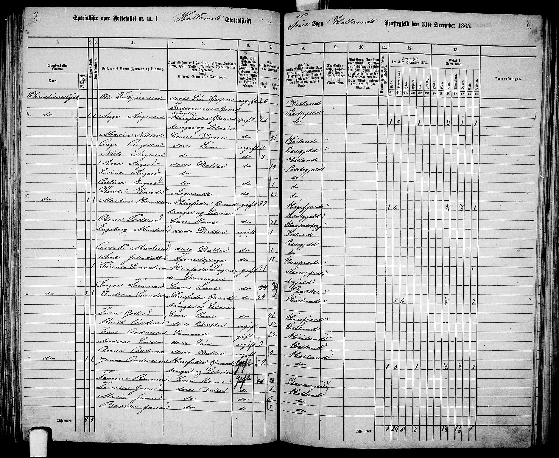 RA, 1865 census for Hetland, 1865, p. 117