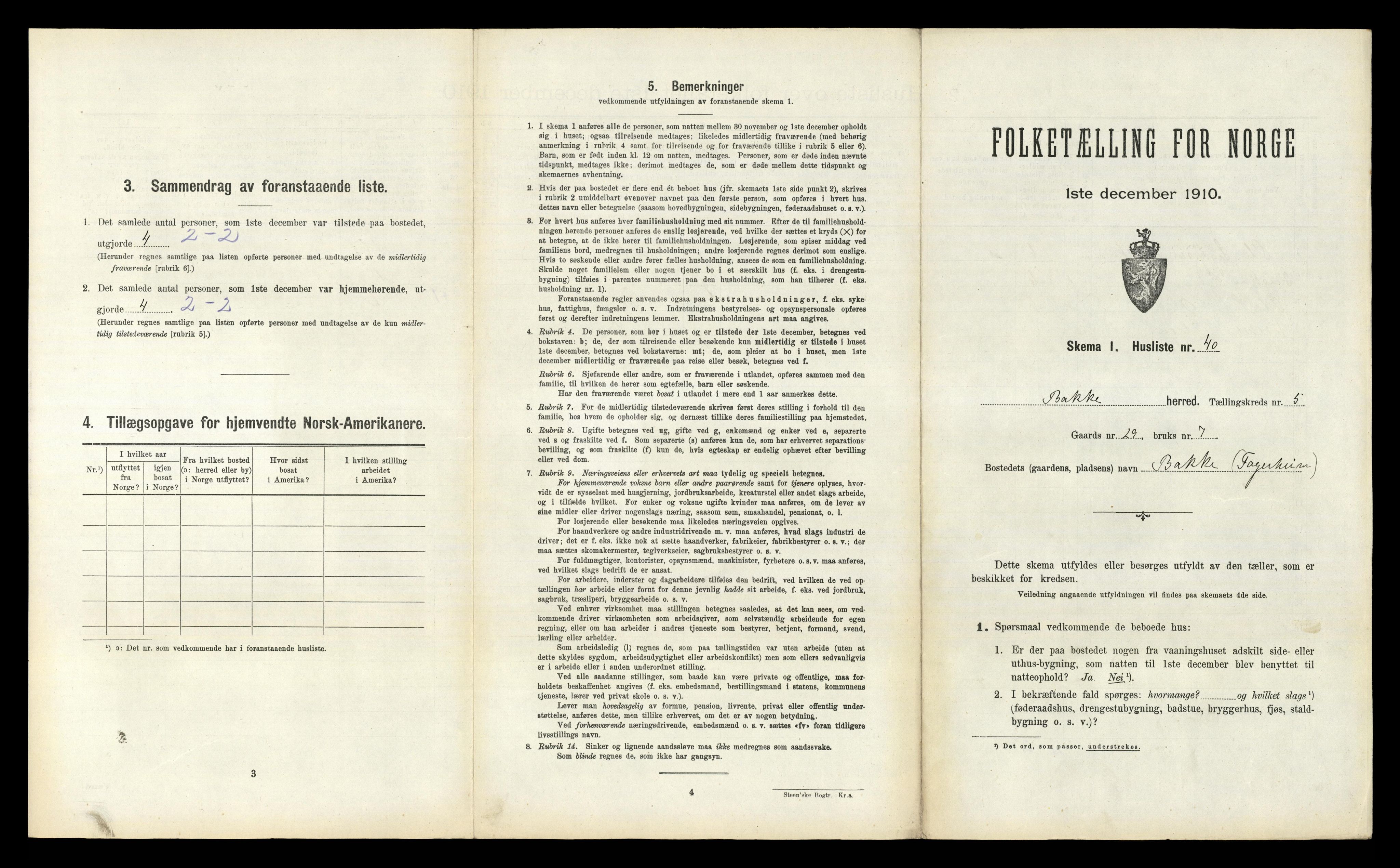 RA, 1910 census for Bakke, 1910, p. 295