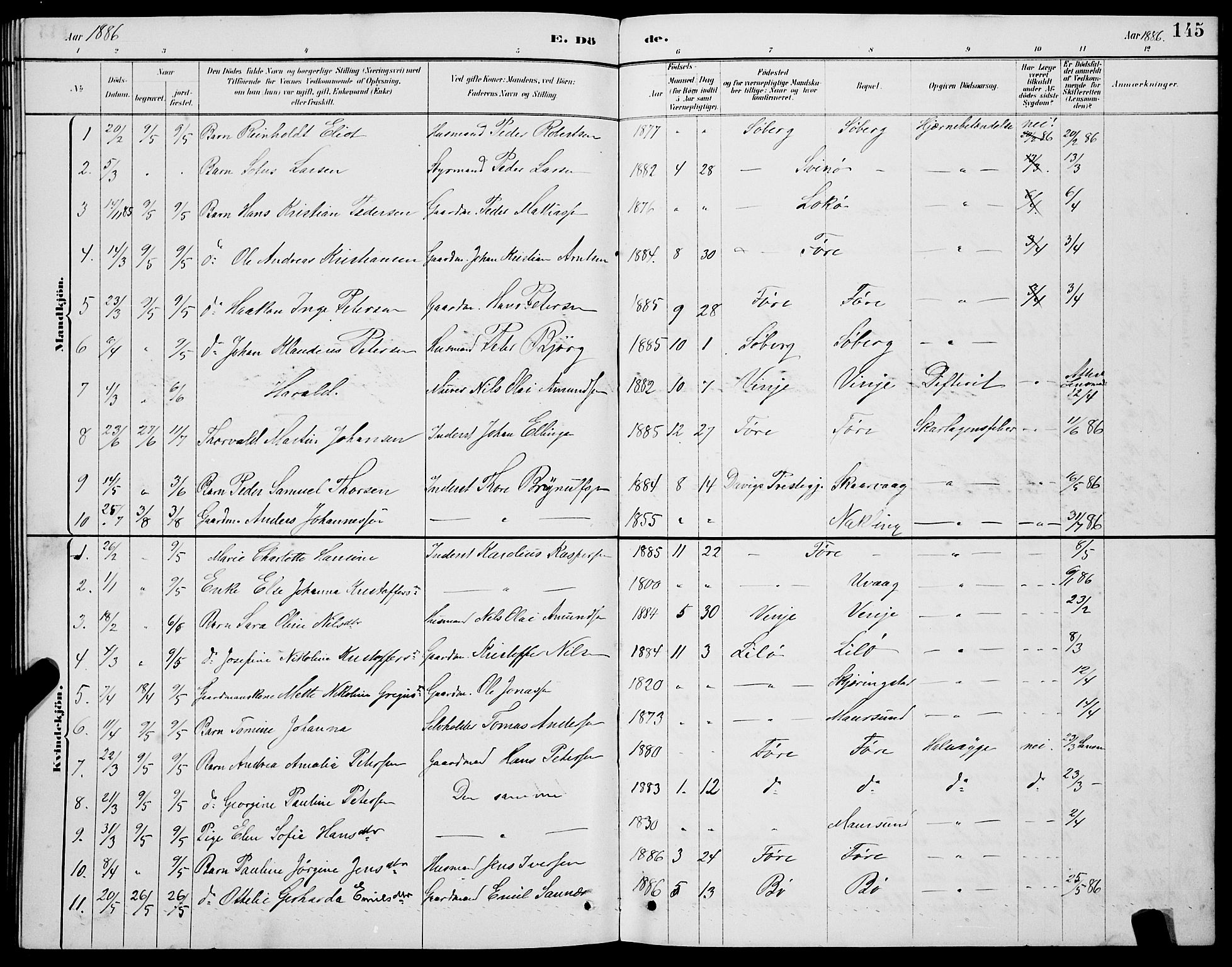 Ministerialprotokoller, klokkerbøker og fødselsregistre - Nordland, AV/SAT-A-1459/891/L1315: Parish register (copy) no. 891C04, 1886-1893, p. 145