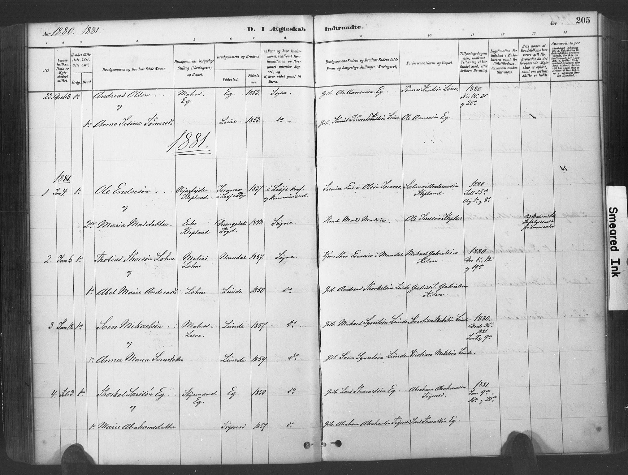 Søgne sokneprestkontor, SAK/1111-0037/F/Fa/Fab/L0012: Parish register (official) no. A 12, 1880-1891, p. 205