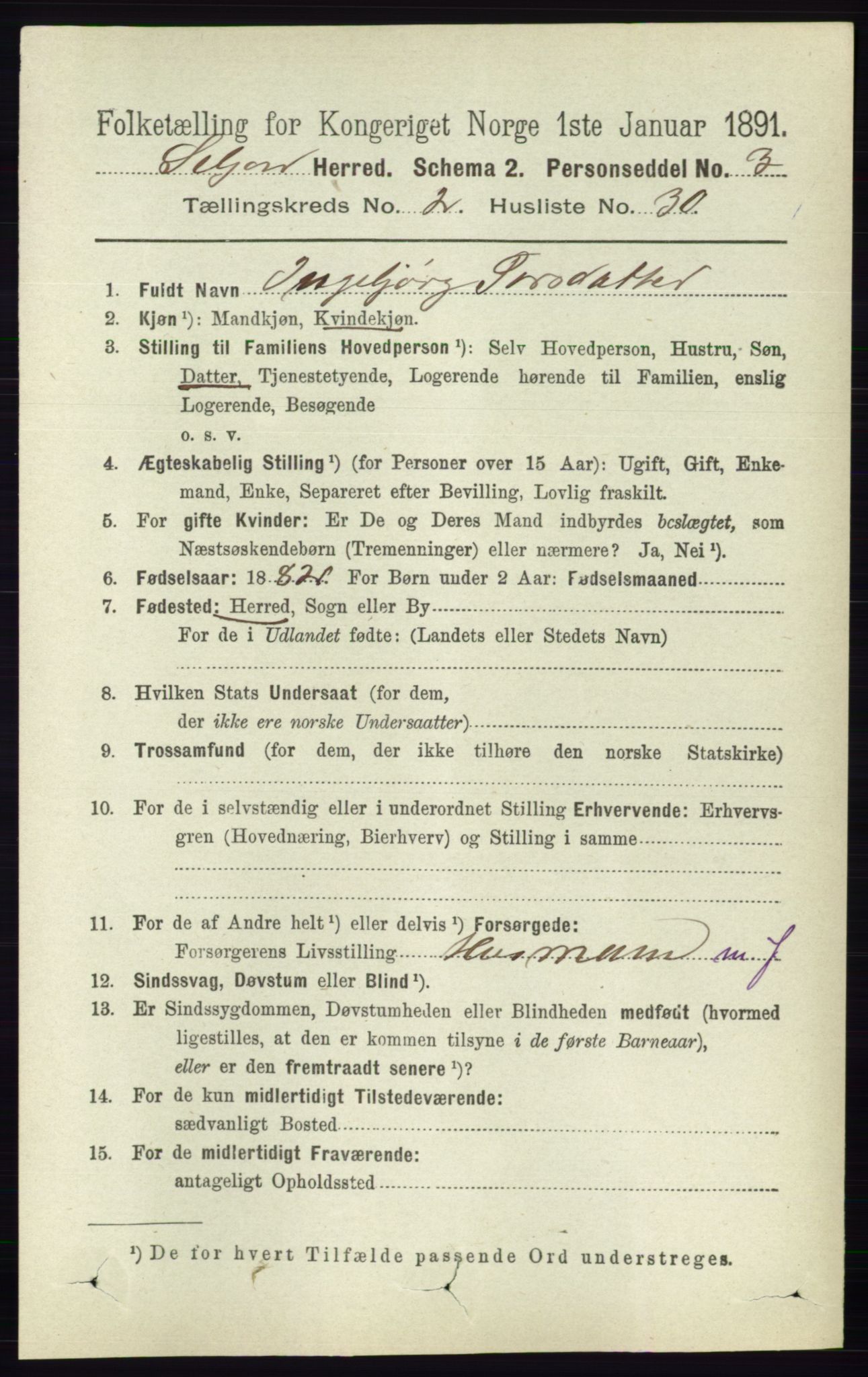 RA, 1891 census for 0828 Seljord, 1891, p. 729