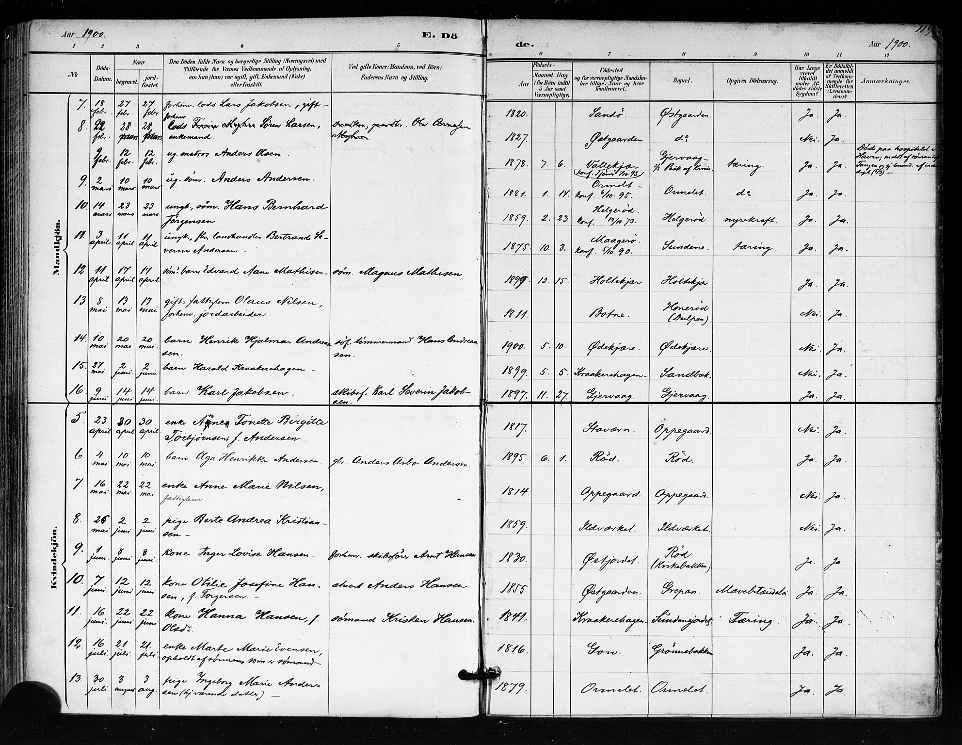 Tjøme kirkebøker, AV/SAKO-A-328/F/Fa/L0003: Parish register (official) no. I 3, 1891-1900, p. 119