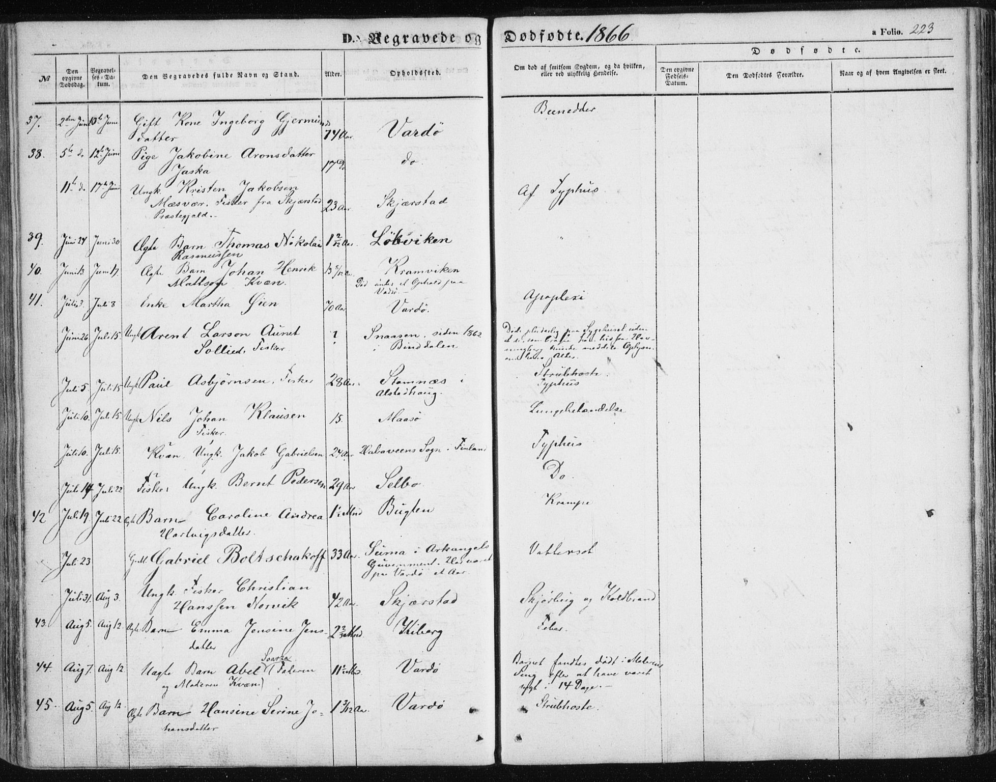 Vardø sokneprestkontor, SATØ/S-1332/H/Ha/L0004kirke: Parish register (official) no. 4, 1862-1871, p. 223