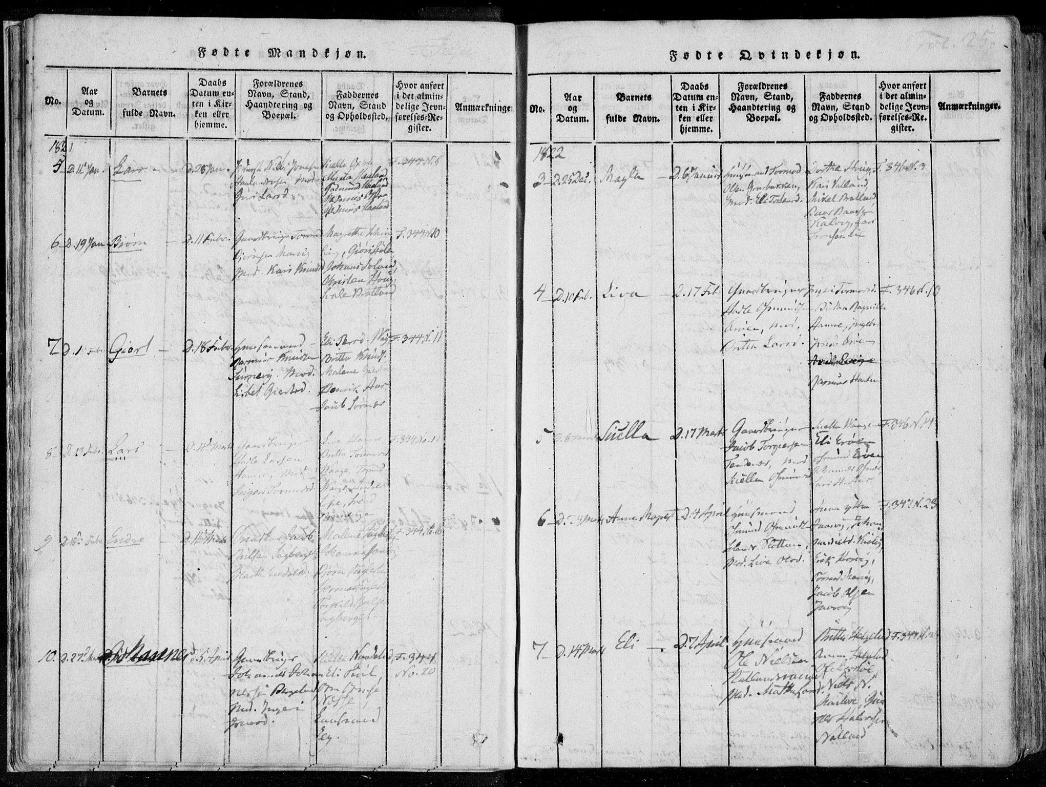 Jelsa sokneprestkontor, SAST/A-101842/01/IV: Parish register (official) no. A 5, 1816-1828, p. 25