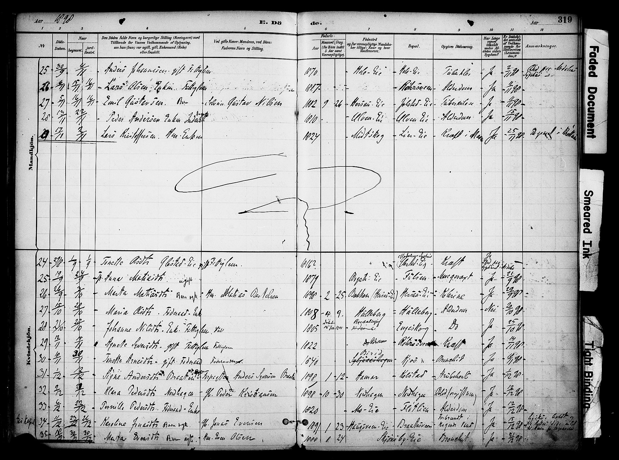 Ringsaker prestekontor, AV/SAH-PREST-014/K/Ka/L0017: Parish register (official) no. 17, 1891-1902, p. 319