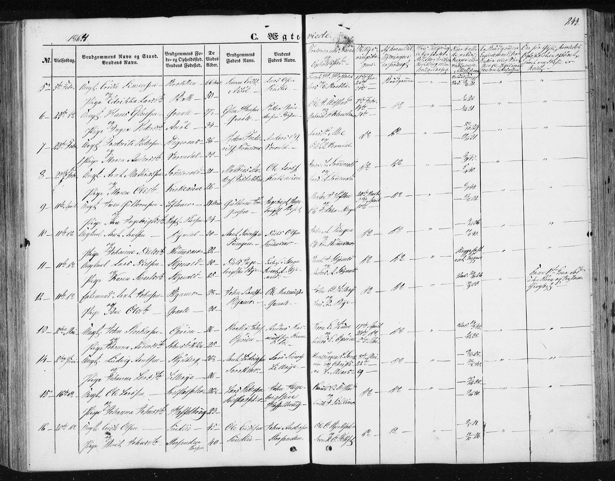 Ministerialprotokoller, klokkerbøker og fødselsregistre - Sør-Trøndelag, AV/SAT-A-1456/668/L0806: Parish register (official) no. 668A06, 1854-1869, p. 243