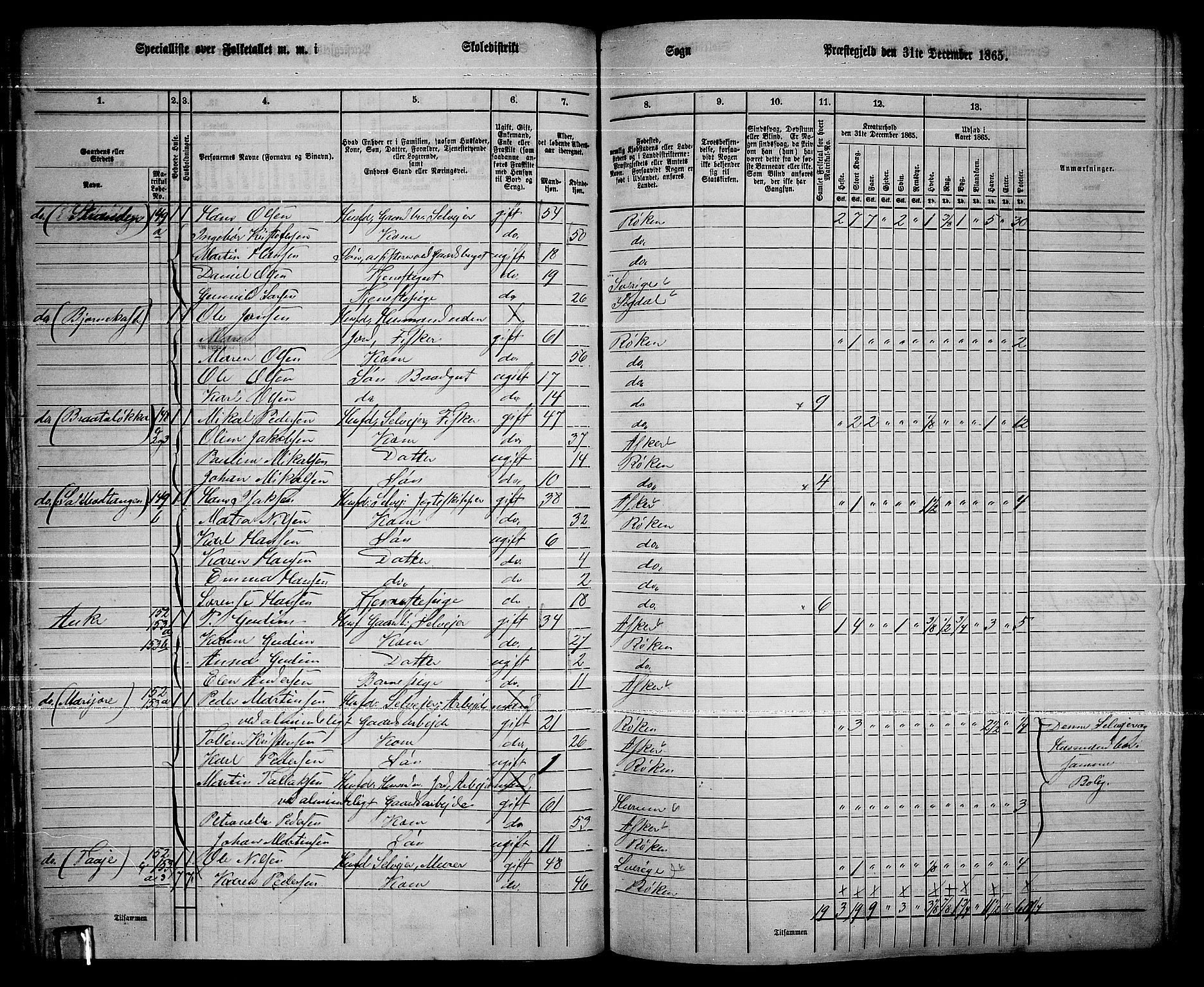 RA, 1865 census for Røyken, 1865, p. 60