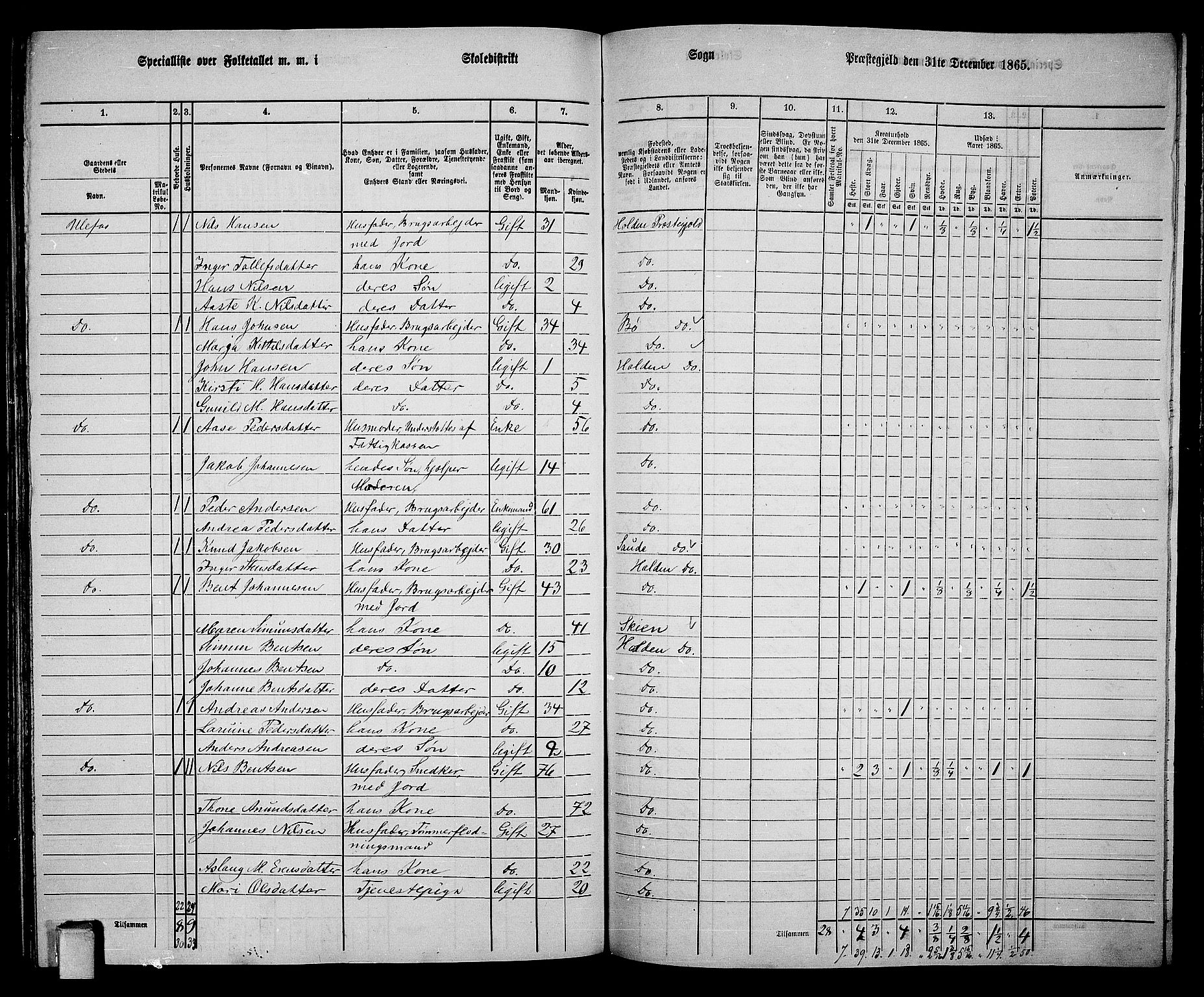 RA, 1865 census for Holla, 1865, p. 137