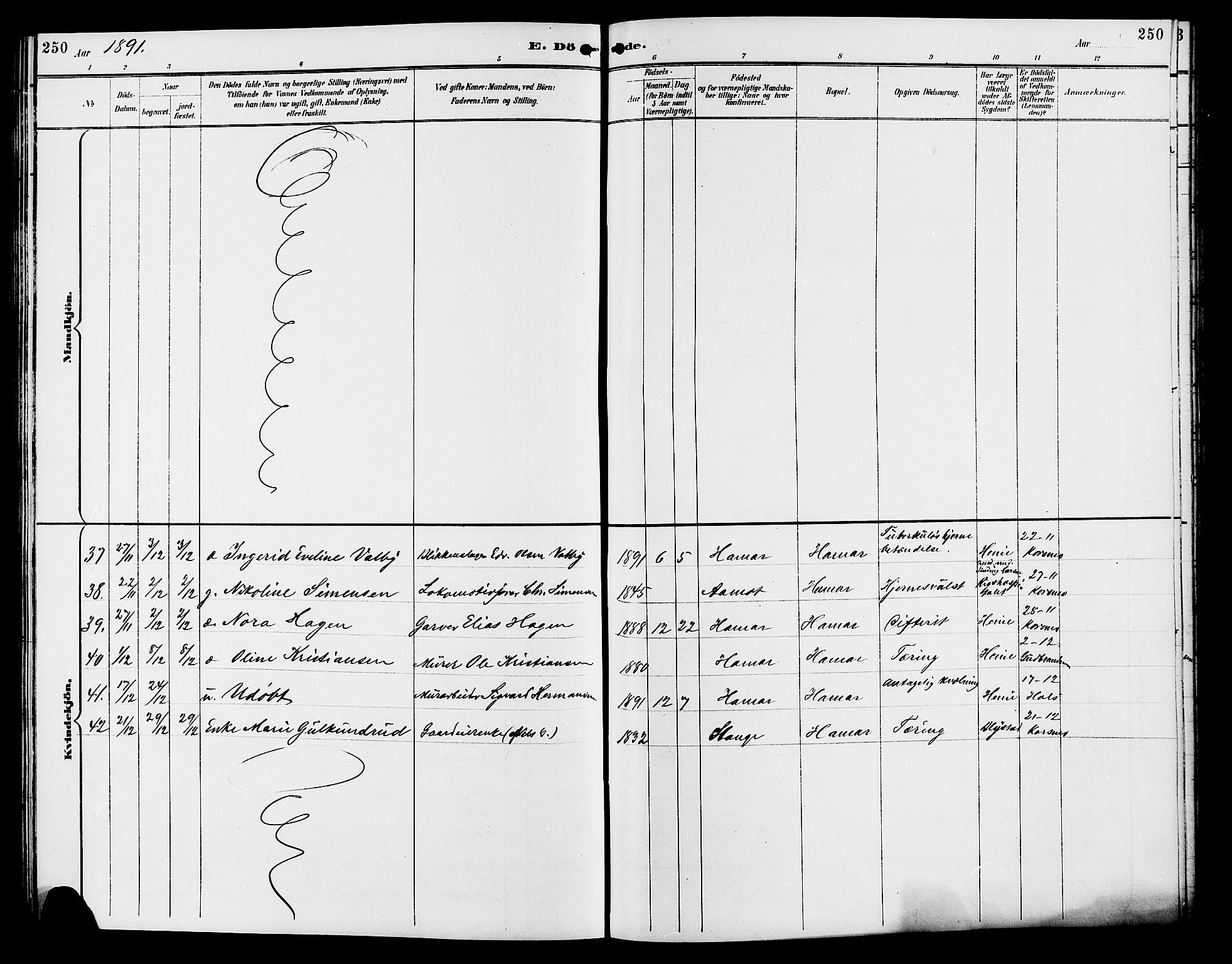 Vang prestekontor, Hedmark, AV/SAH-PREST-008/H/Ha/Hab/L0013: Parish register (copy) no. 13, 1890-1899, p. 250