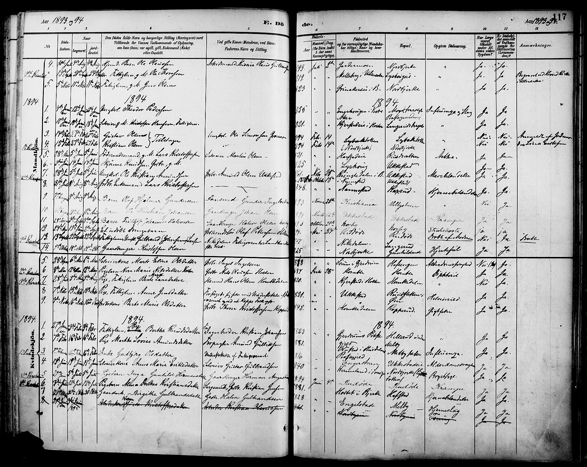 Nannestad prestekontor Kirkebøker, SAO/A-10414a/F/Fa/L0015: Parish register (official) no. I 15, 1891-1905, p. 117