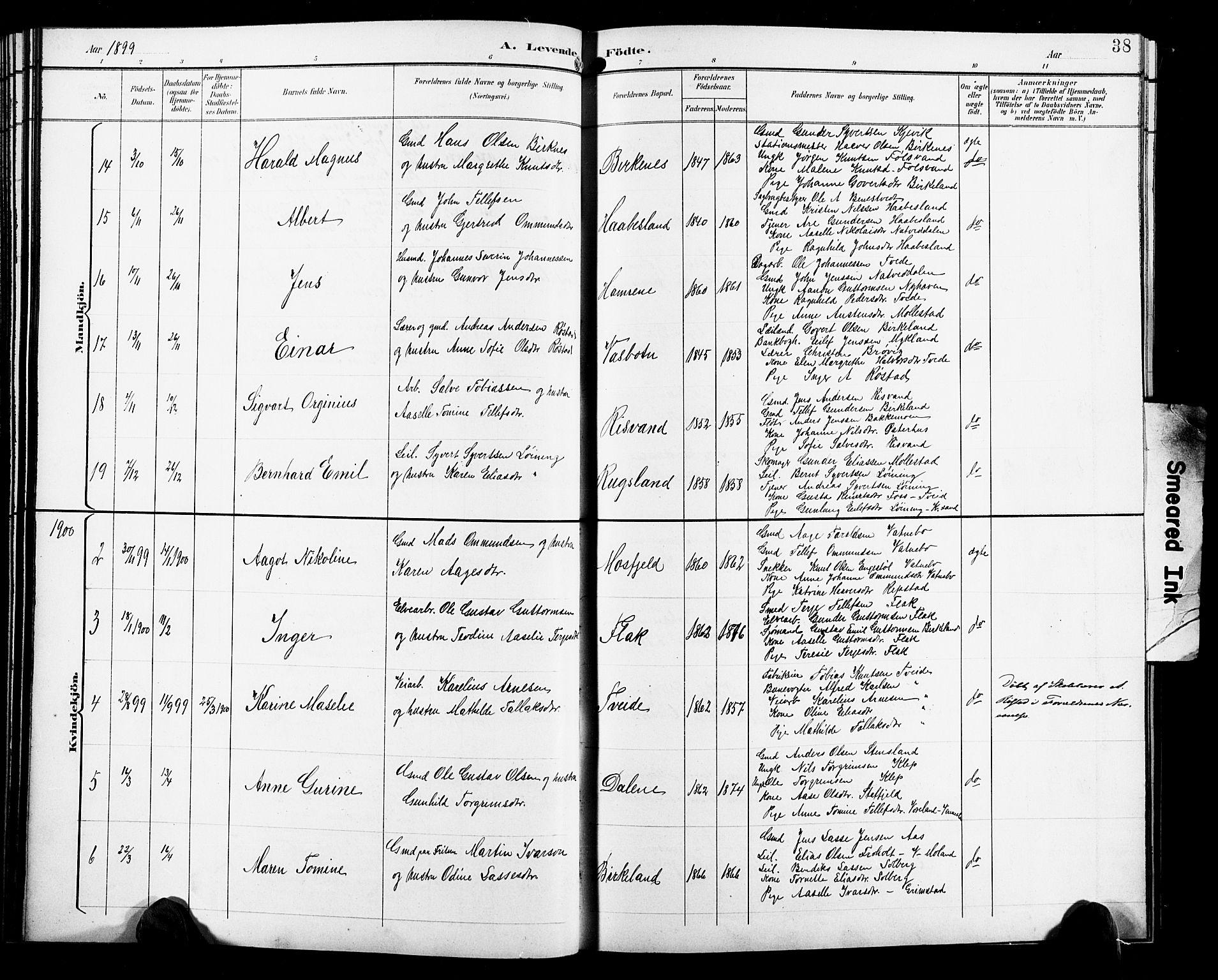 Birkenes sokneprestkontor, SAK/1111-0004/F/Fb/L0004: Parish register (copy) no. B 4, 1893-1930, p. 38