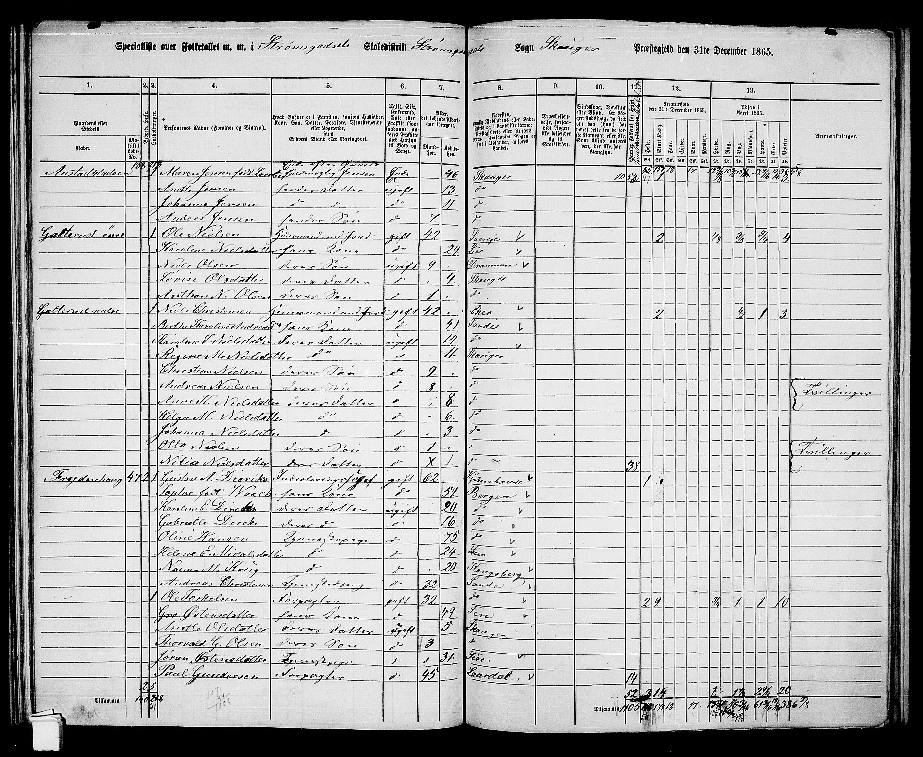 RA, 1865 census for Skoger, 1865, p. 152