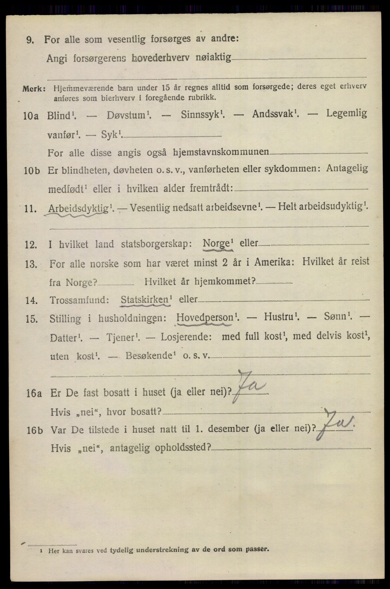 SAKO, 1920 census for Nes (Buskerud), 1920, p. 2497