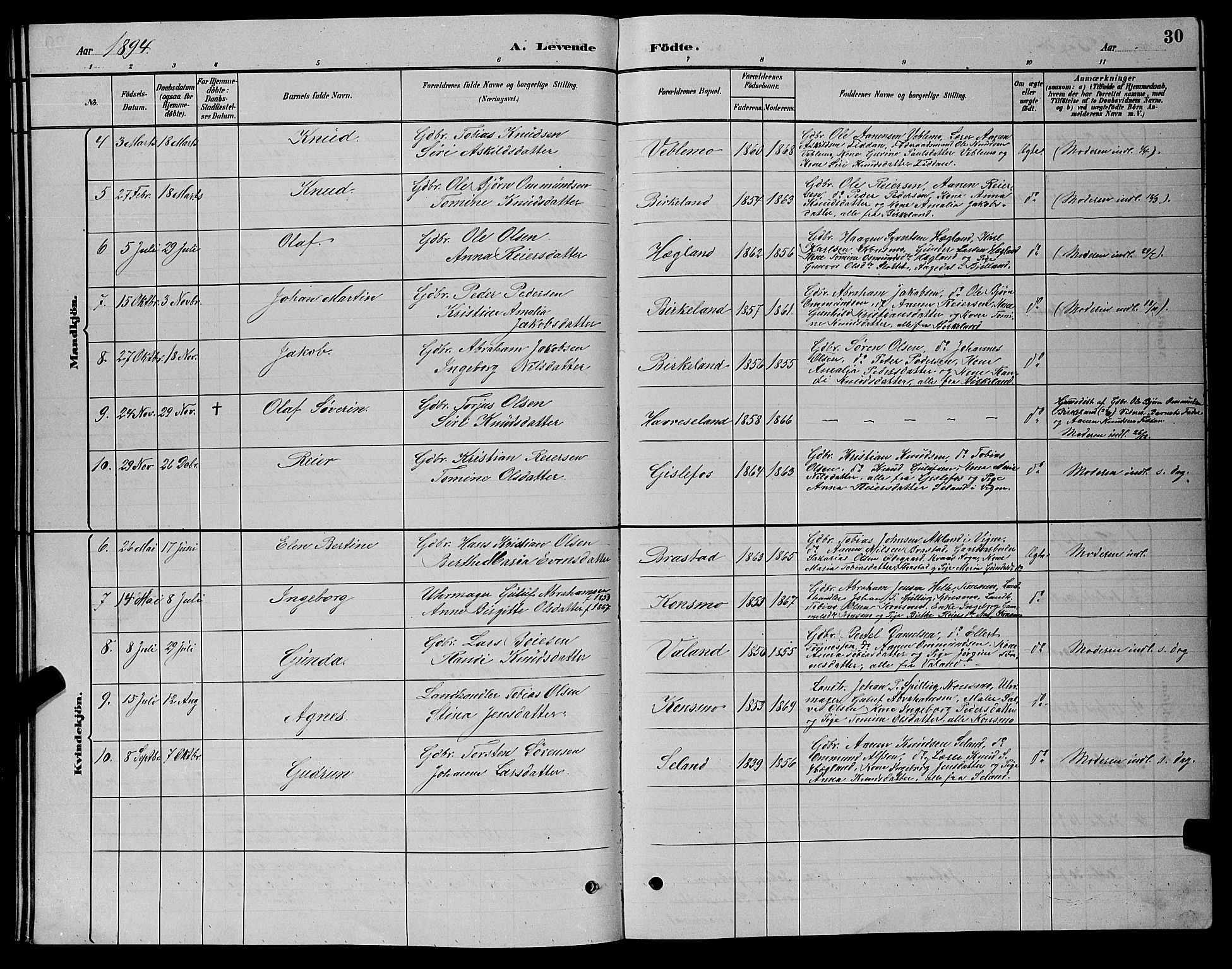 Nord-Audnedal sokneprestkontor, AV/SAK-1111-0032/F/Fb/Fba/L0003: Parish register (copy) no. B 3, 1881-1900, p. 30