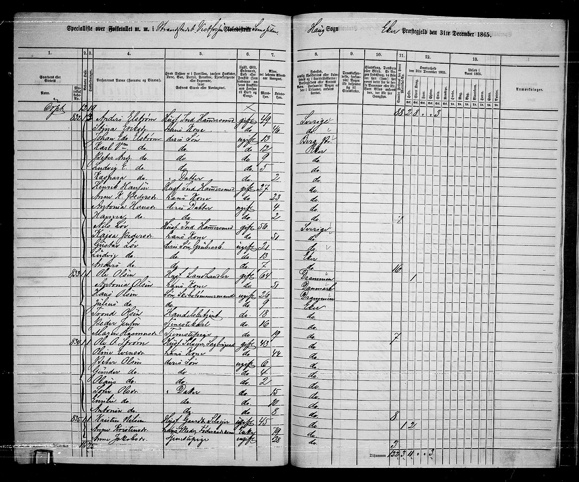 RA, 1865 census for Eiker, 1865, p. 244