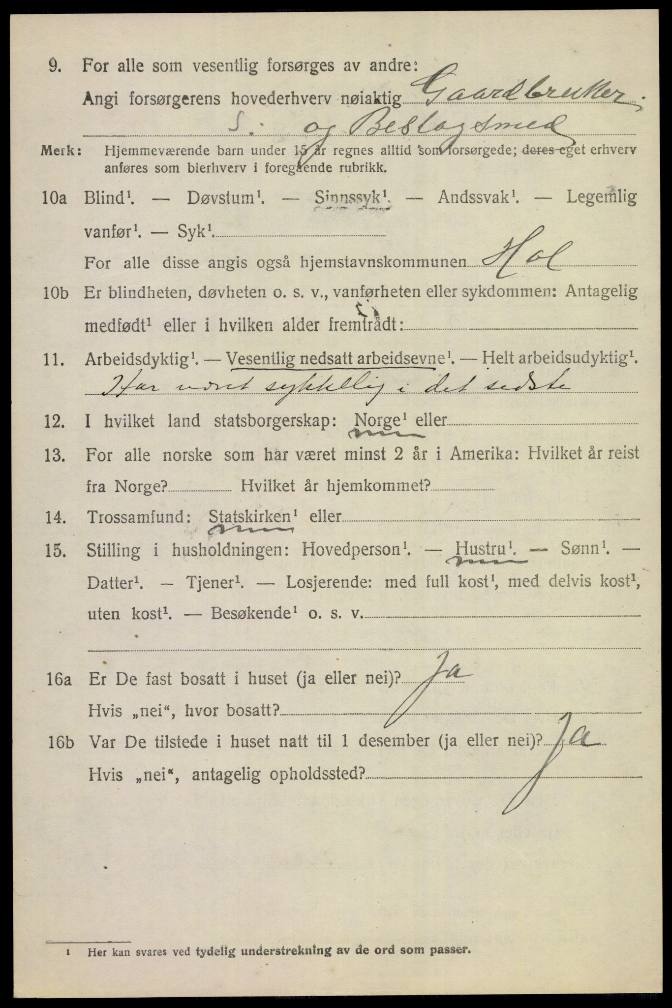 SAKO, 1920 census for Hol (Buskerud), 1920, p. 3790