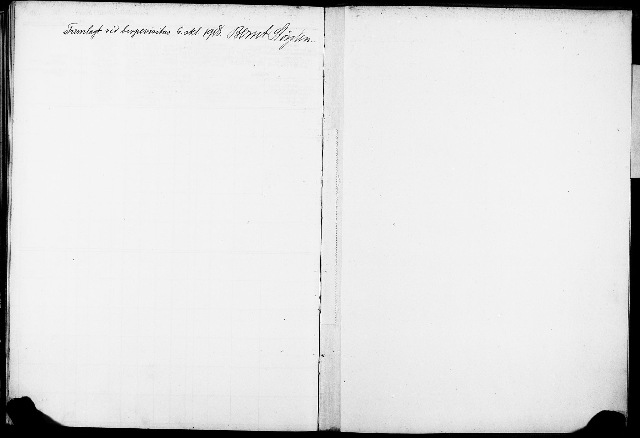 Skien kirkebøker, SAKO/A-302/J/Ja/L0001: Birth register no. 1, 1916-1920