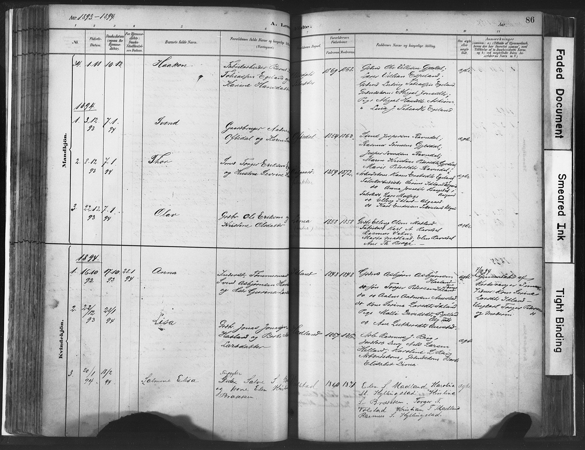 Lye sokneprestkontor, AV/SAST-A-101794/001/30BA/L0010: Parish register (official) no. A 10, 1881-1896, p. 86