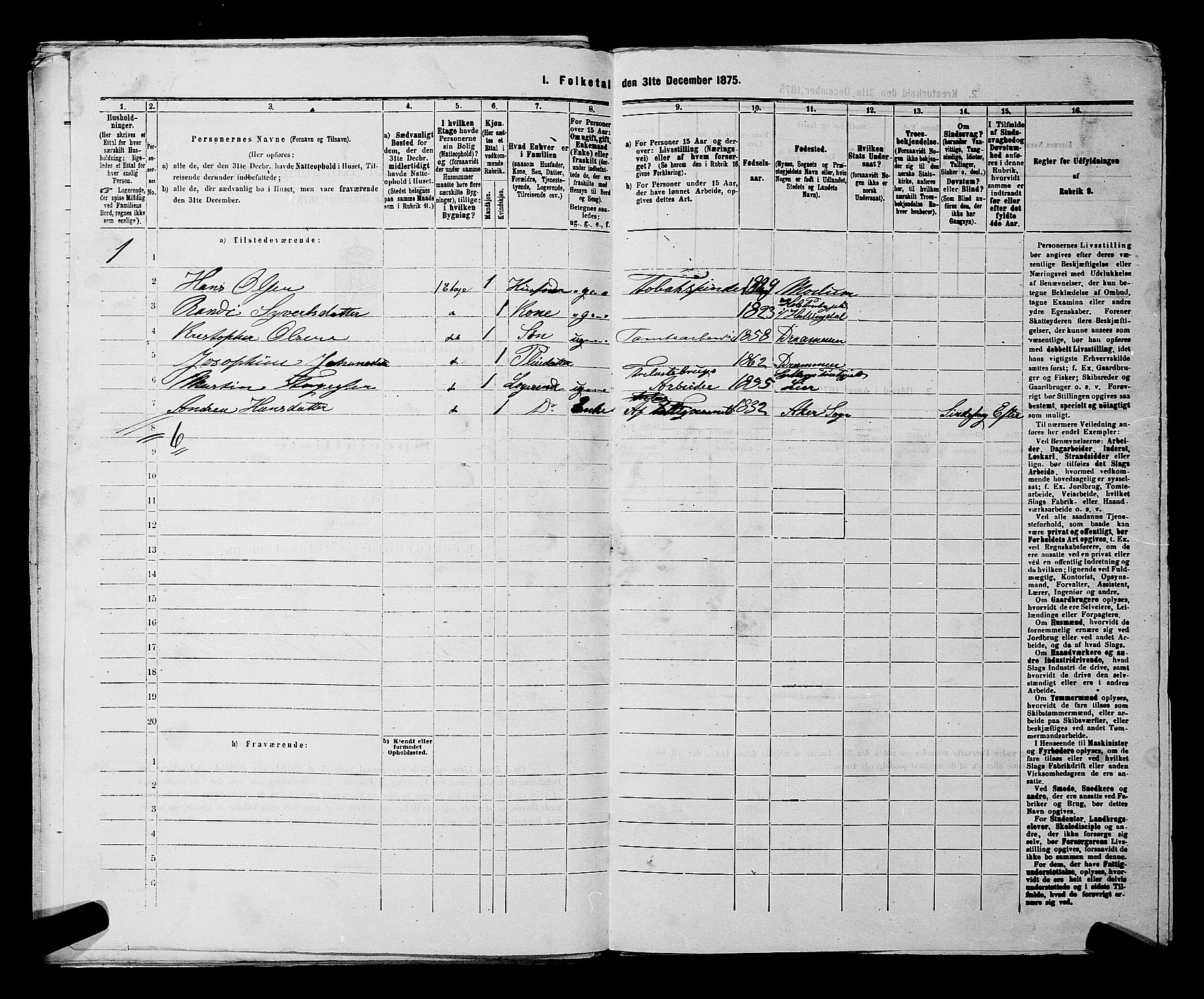 SAKO, 1875 census for 0602 Drammen, 1875, p. 1607