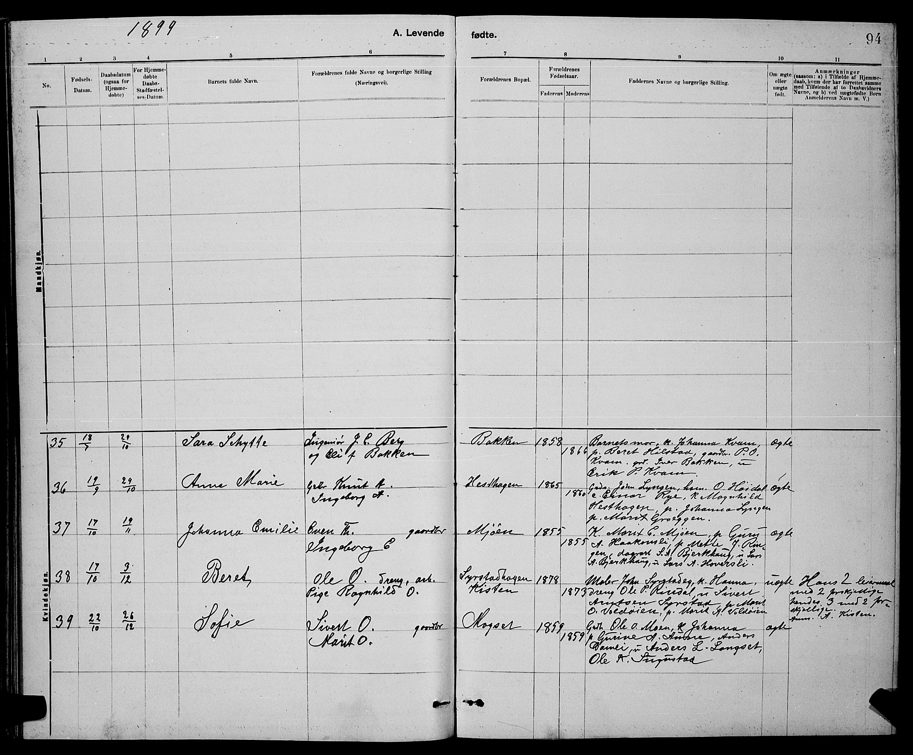 Ministerialprotokoller, klokkerbøker og fødselsregistre - Sør-Trøndelag, AV/SAT-A-1456/672/L0863: Parish register (copy) no. 672C02, 1888-1901, p. 94