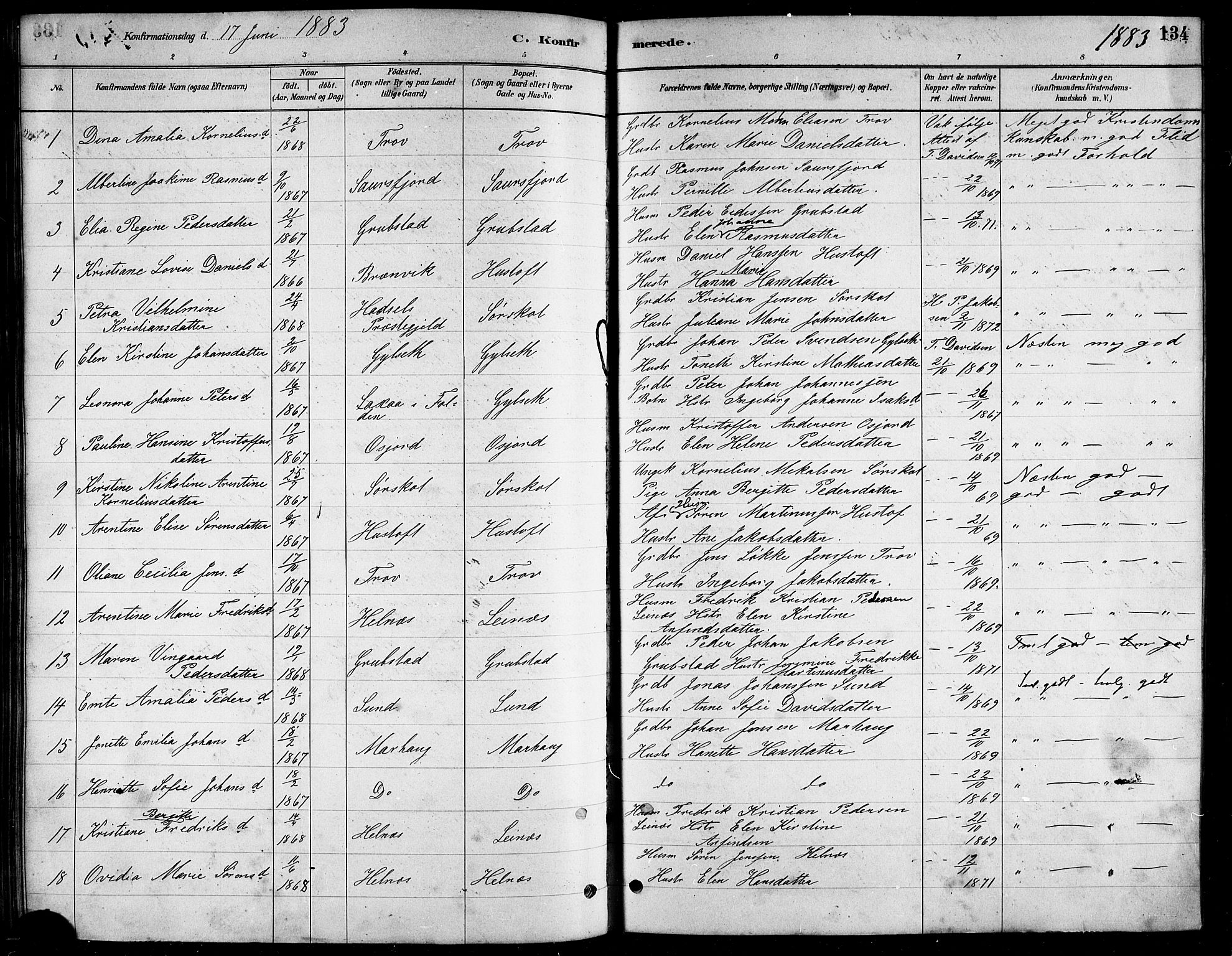 Ministerialprotokoller, klokkerbøker og fødselsregistre - Nordland, AV/SAT-A-1459/857/L0828: Parish register (copy) no. 857C03, 1879-1908, p. 134