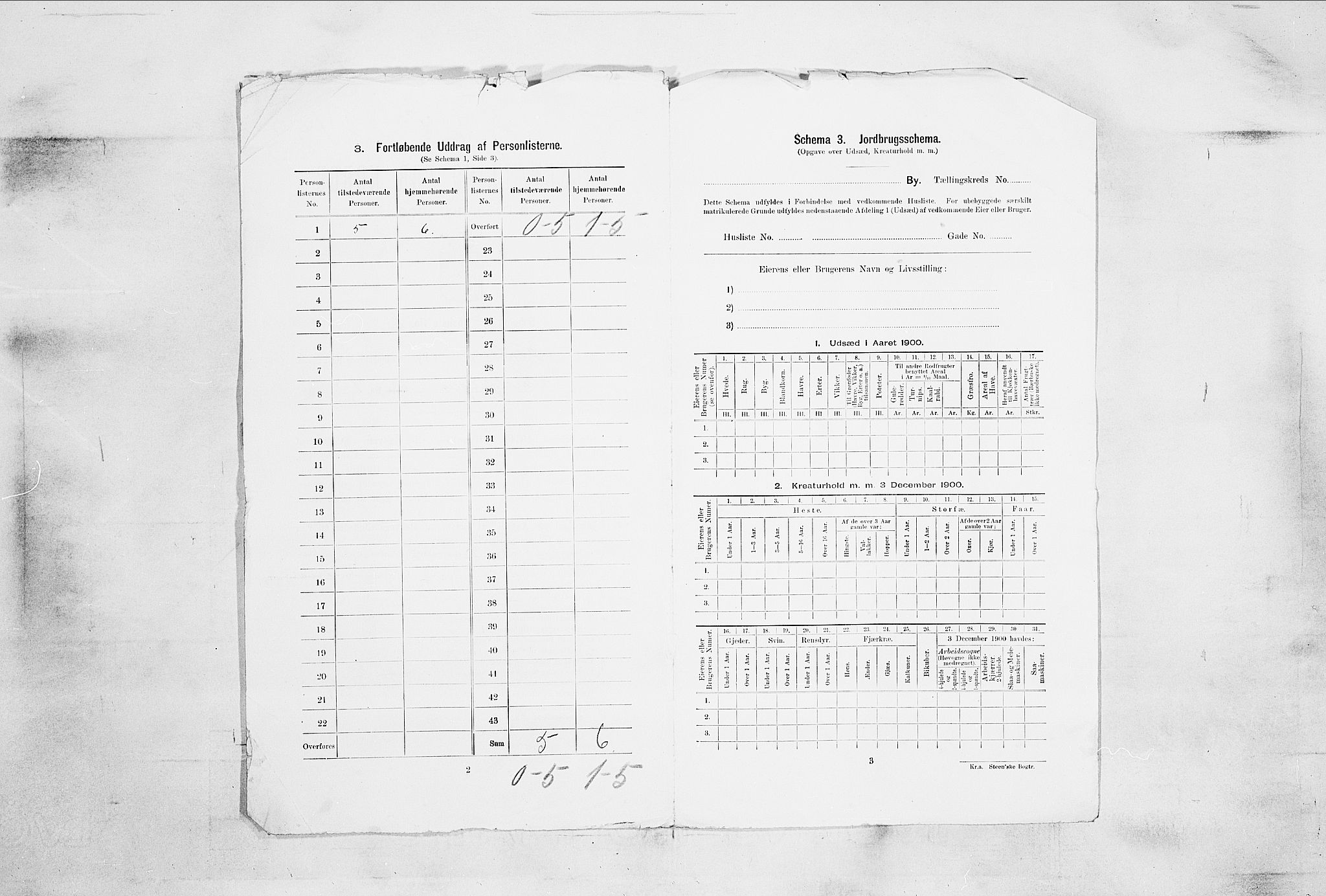 RA, 1900 census for Horten, 1900, p. 4989