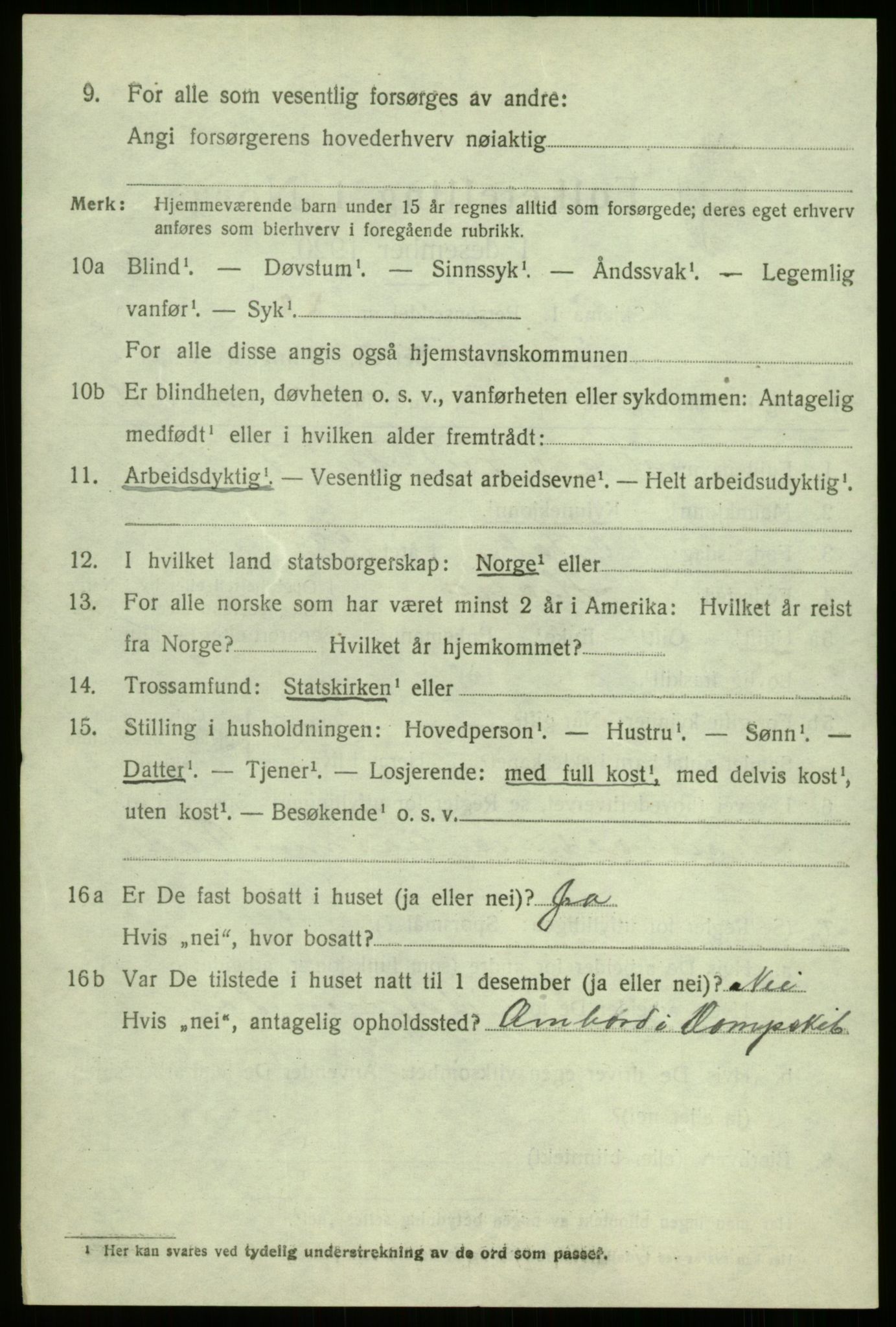 SAB, 1920 census for Hafslo, 1920, p. 4491