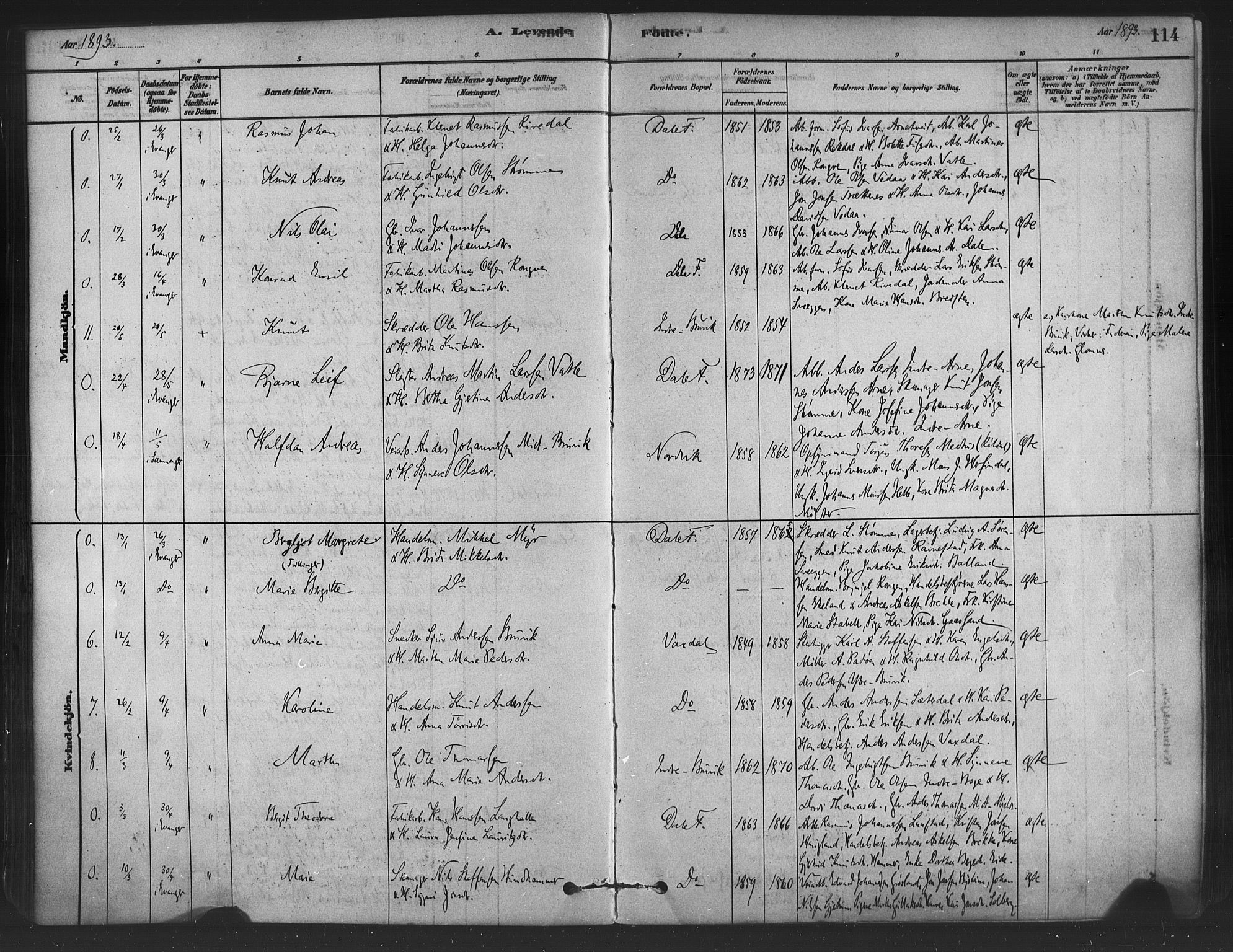 Bruvik Sokneprestembete, SAB/A-74701/H/Haa: Parish register (official) no. B 1, 1878-1904, p. 114