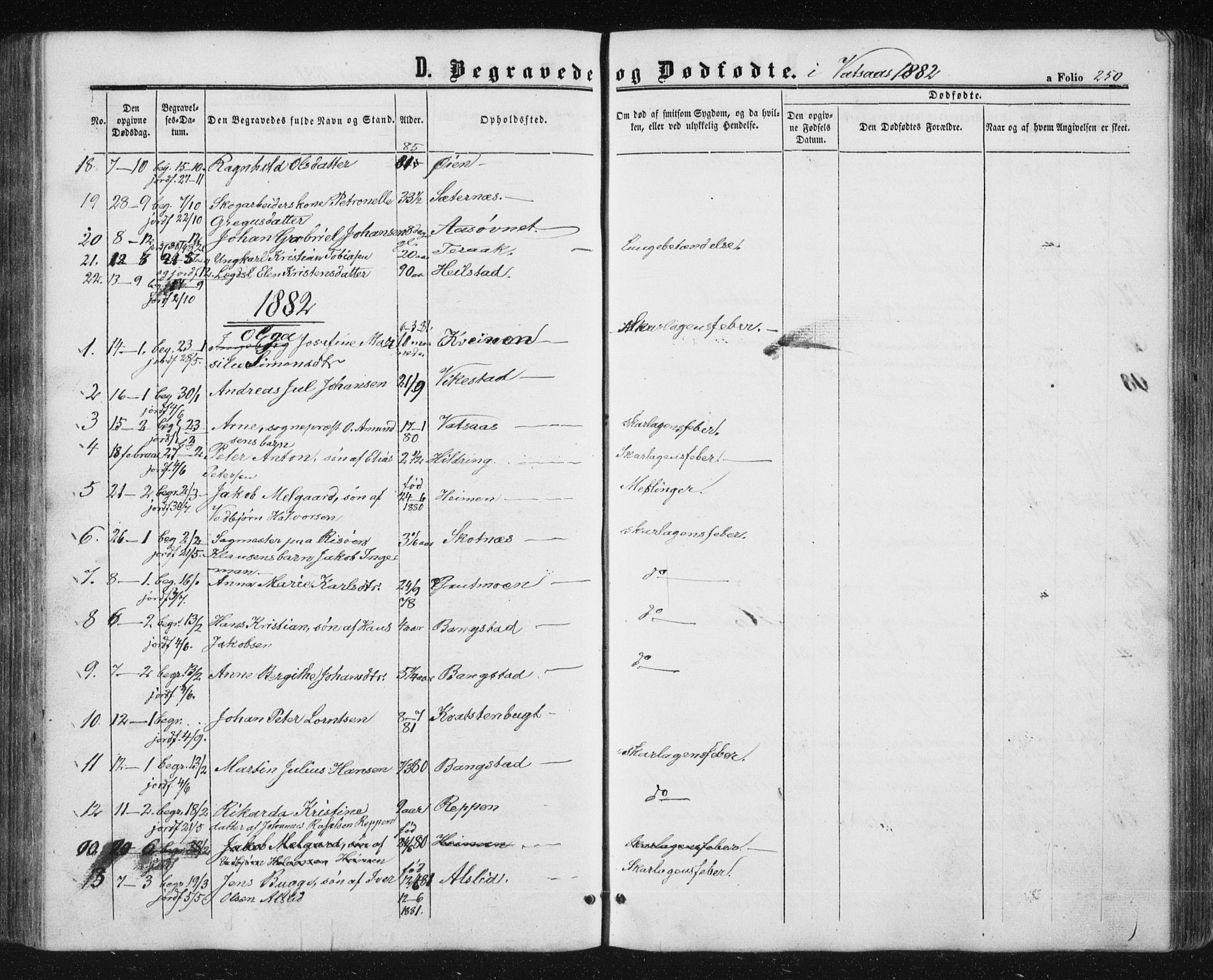 Ministerialprotokoller, klokkerbøker og fødselsregistre - Nordland, AV/SAT-A-1459/810/L0158: Parish register (copy) no. 810C02 /1, 1863-1883, p. 250