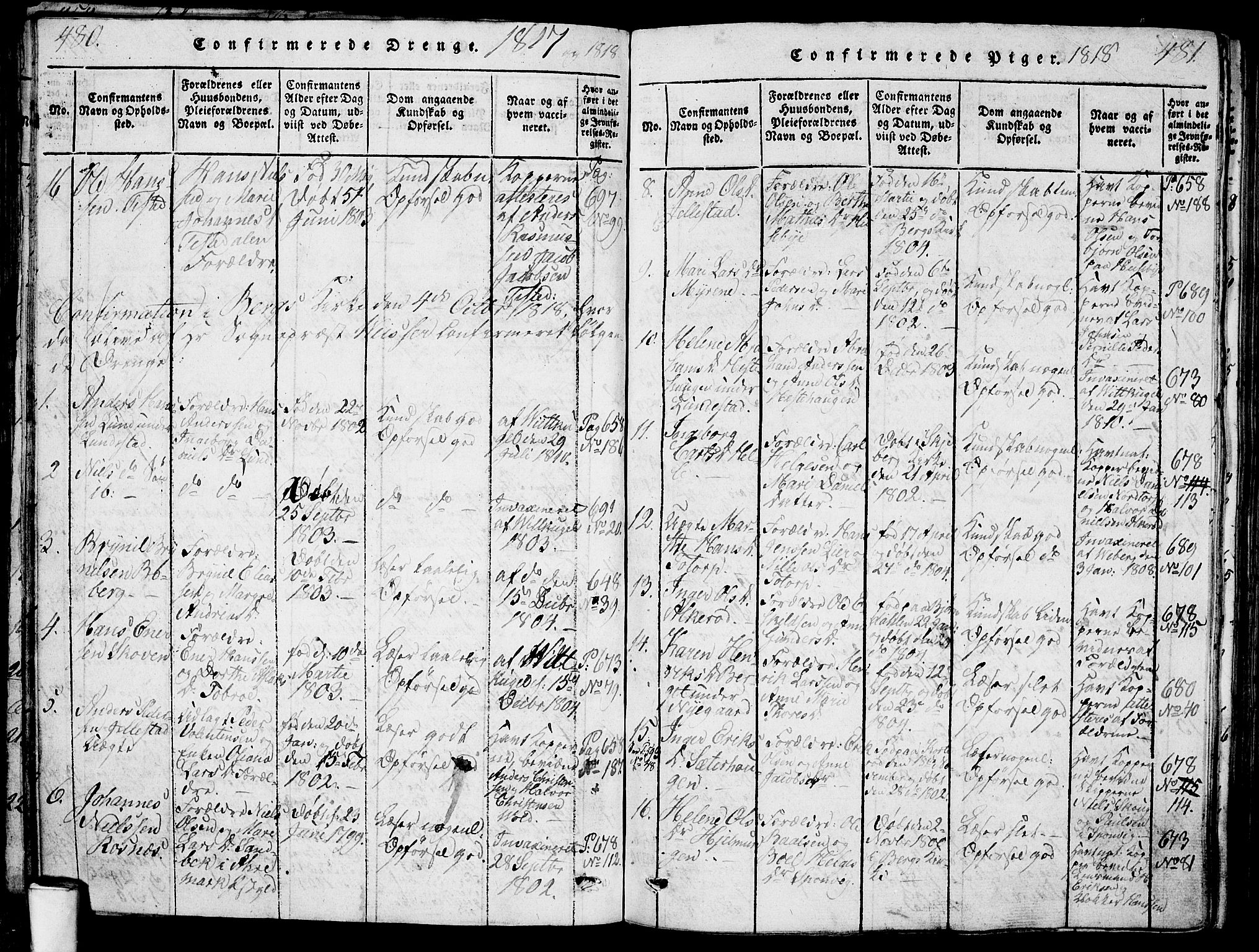 Berg prestekontor Kirkebøker, AV/SAO-A-10902/G/Ga/L0001: Parish register (copy) no. I 1, 1815-1832, p. 480-481