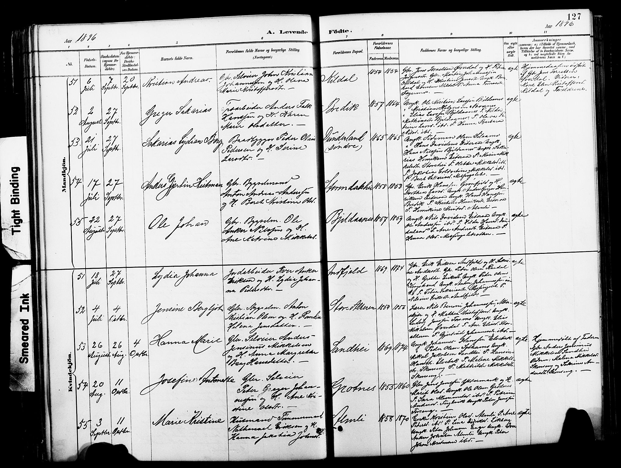 Ministerialprotokoller, klokkerbøker og fødselsregistre - Nordland, SAT/A-1459/827/L0421: Parish register (copy) no. 827C10, 1887-1906, p. 127