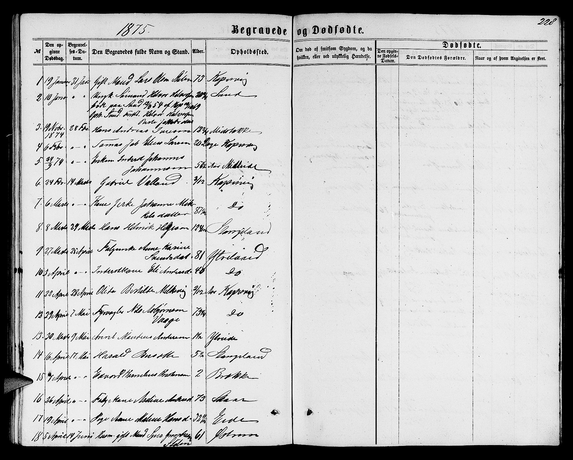 Avaldsnes sokneprestkontor, SAST/A -101851/H/Ha/Hab/L0004: Parish register (copy) no. B 4, 1861-1876, p. 228