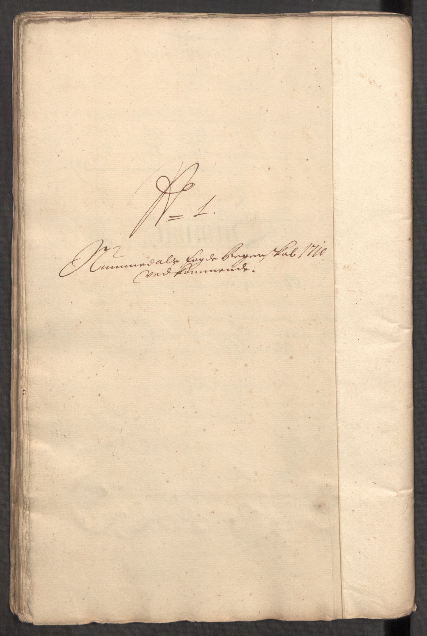 Rentekammeret inntil 1814, Reviderte regnskaper, Fogderegnskap, AV/RA-EA-4092/R64/L4431: Fogderegnskap Namdal, 1709-1710, p. 357