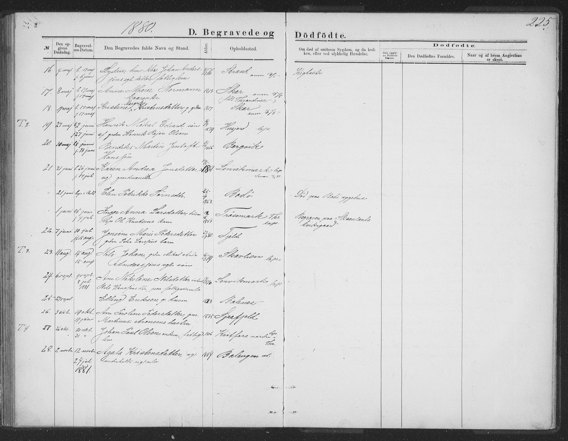 Ministerialprotokoller, klokkerbøker og fødselsregistre - Nordland, AV/SAT-A-1459/863/L0913: Parish register (copy) no. 863C03, 1877-1885, p. 225