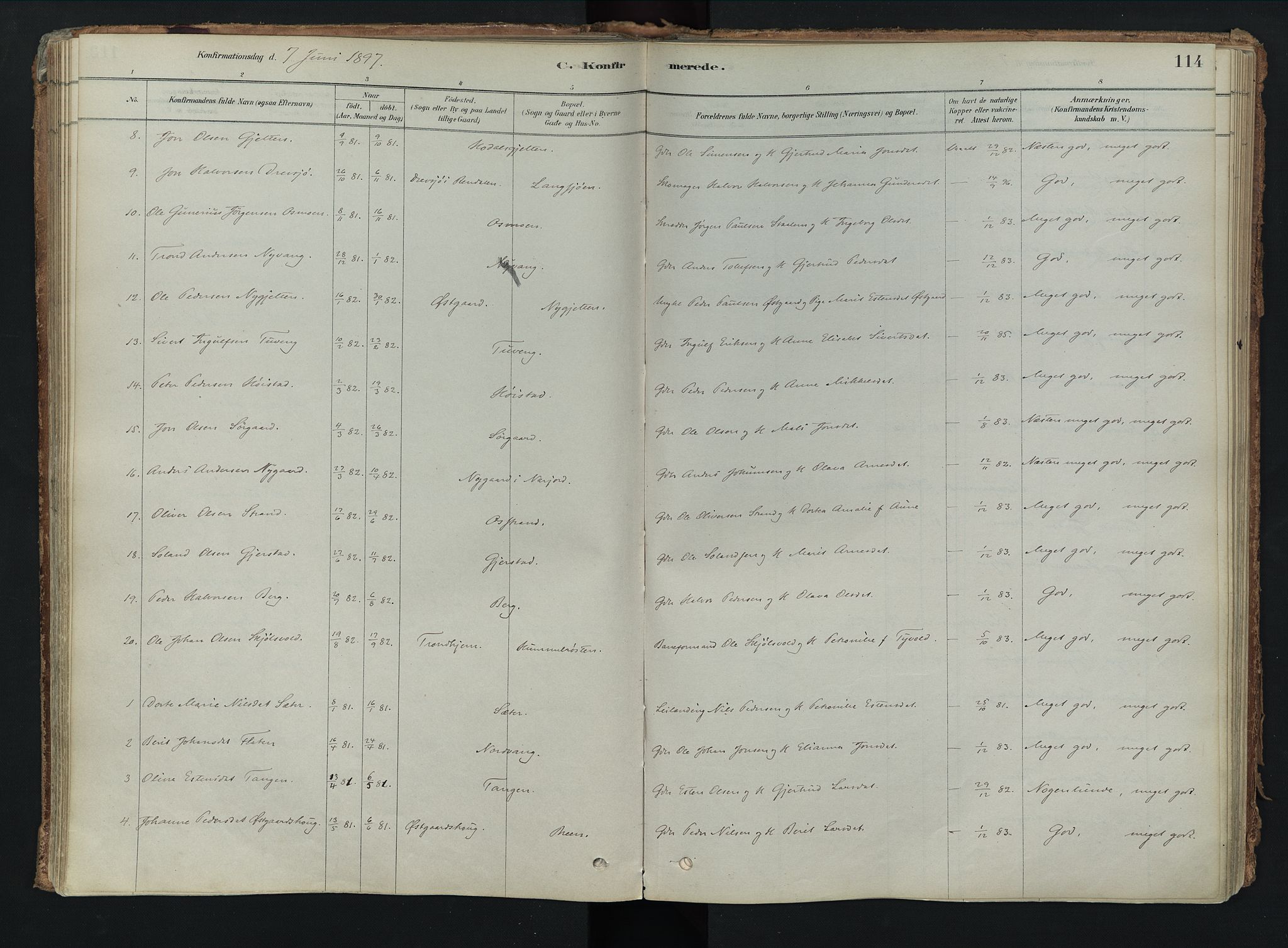 Tolga prestekontor, SAH/PREST-062/K/L0008: Parish register (official) no. 8, 1877-1910, p. 114
