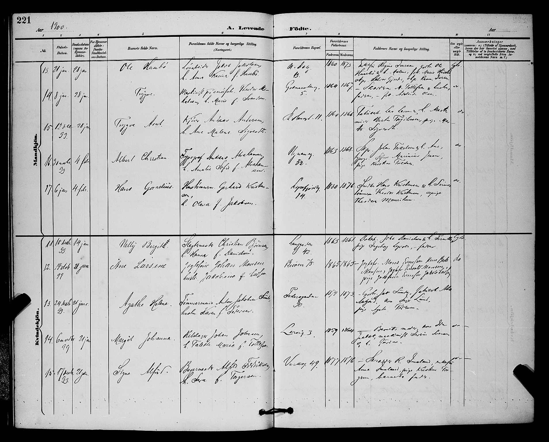 St. Johannes sokneprestkontor, AV/SAST-A-101814/001/30/30BB/L0003: Parish register (copy) no. B 3, 1893-1900, p. 221