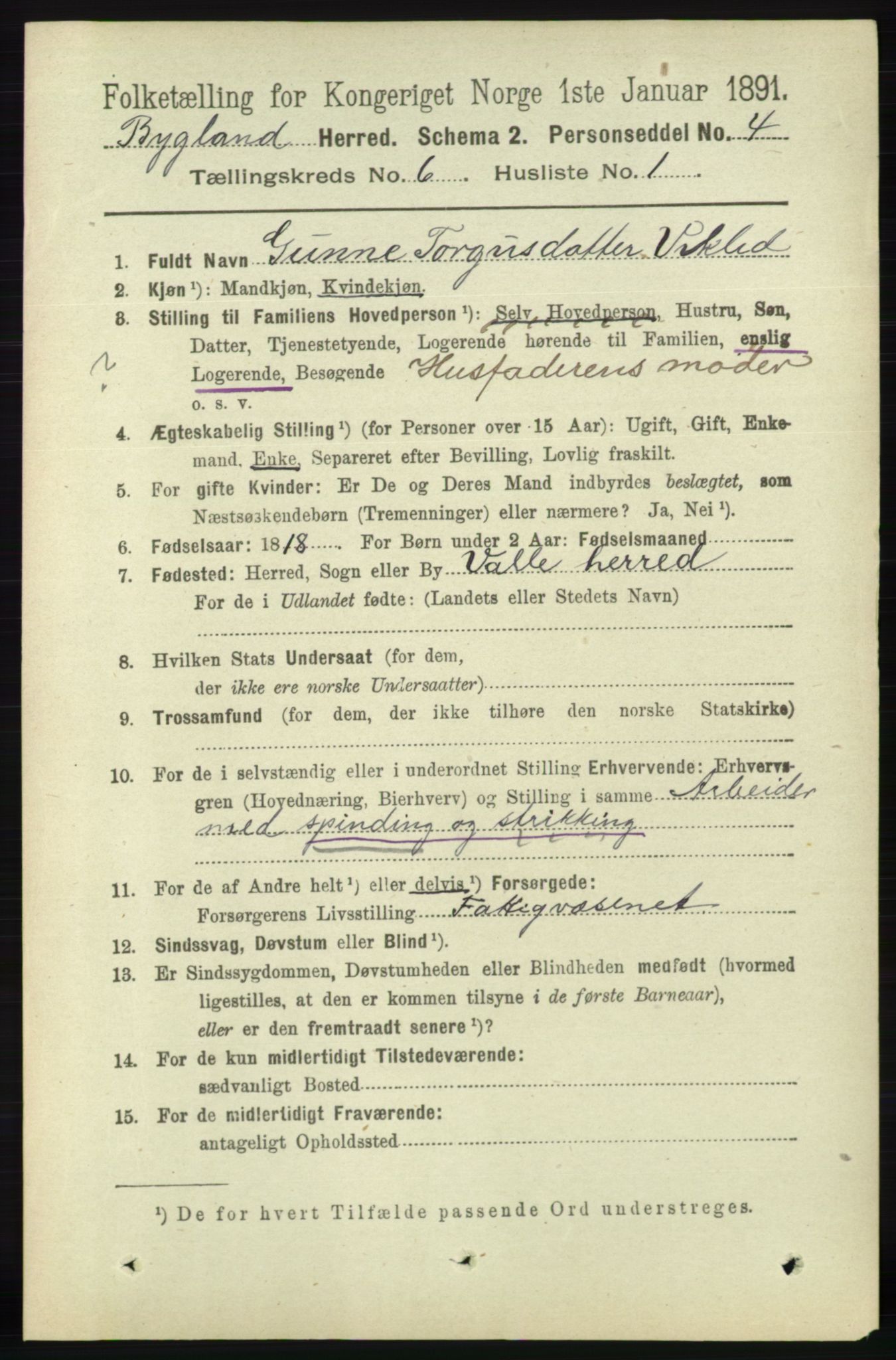 RA, 1891 census for 0938 Bygland, 1891, p. 1339