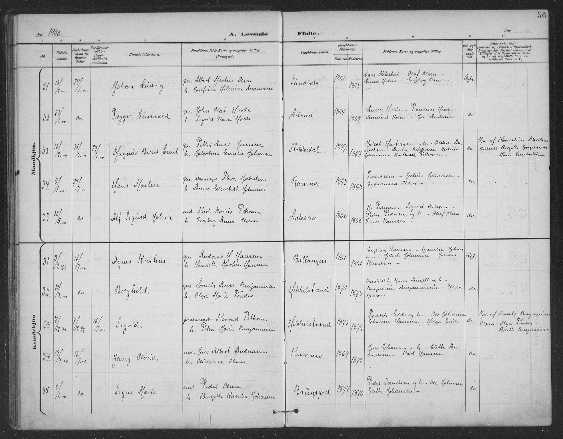 Ministerialprotokoller, klokkerbøker og fødselsregistre - Nordland, AV/SAT-A-1459/863/L0899: Parish register (official) no. 863A11, 1897-1906, p. 56